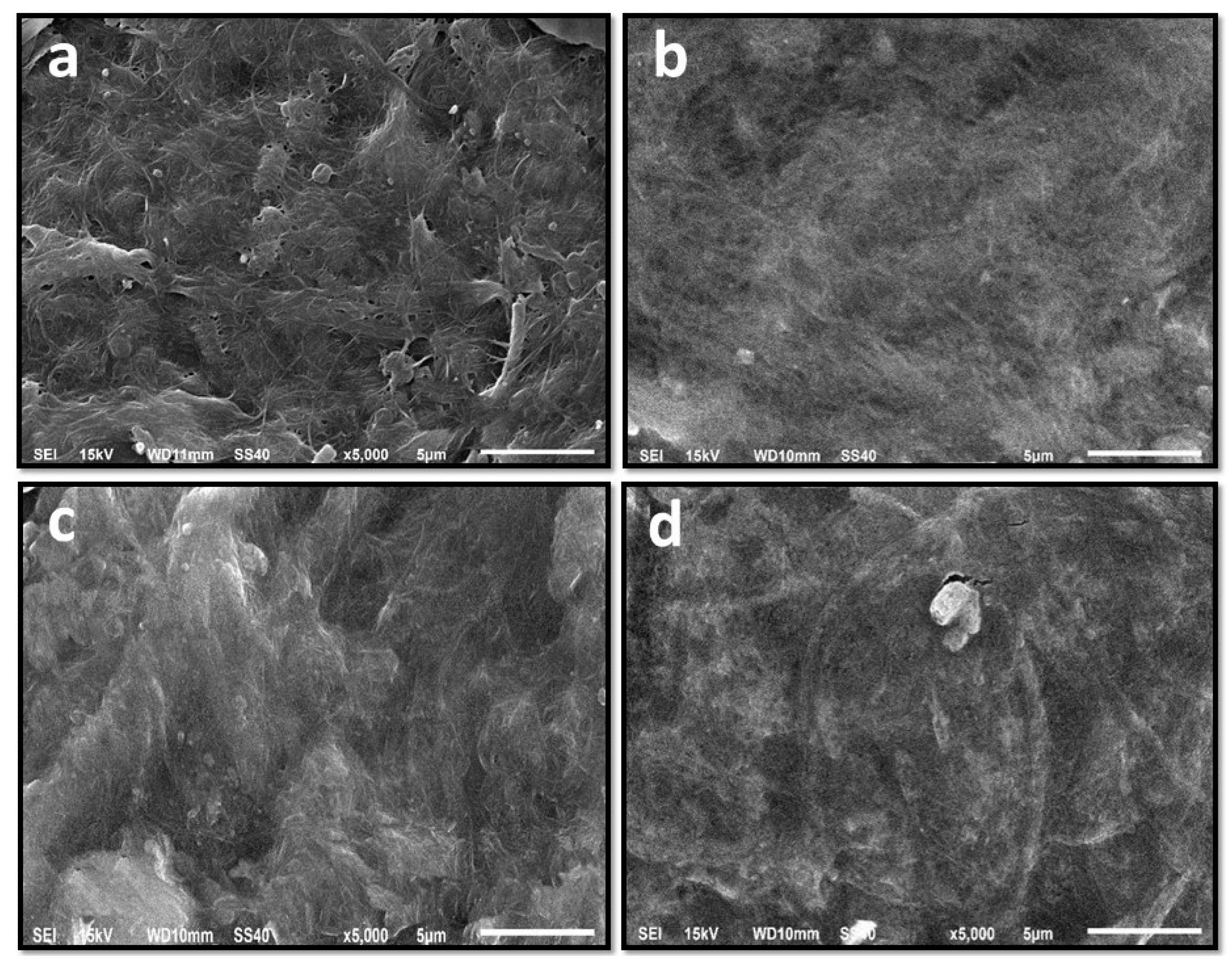 Polymers 13 03570 g003