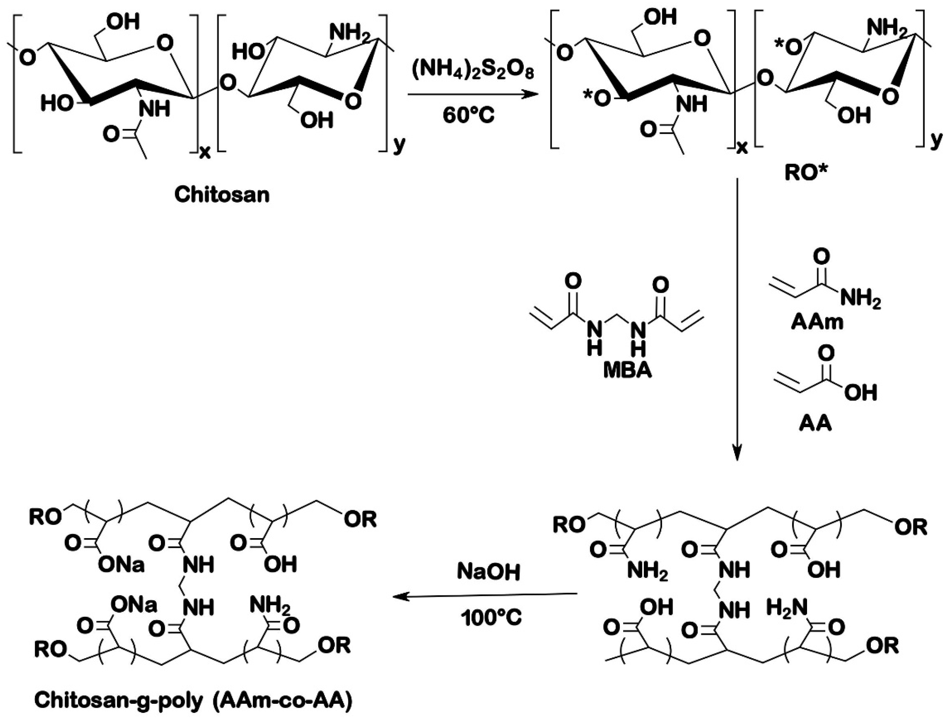 Polymers 13 03571 g001