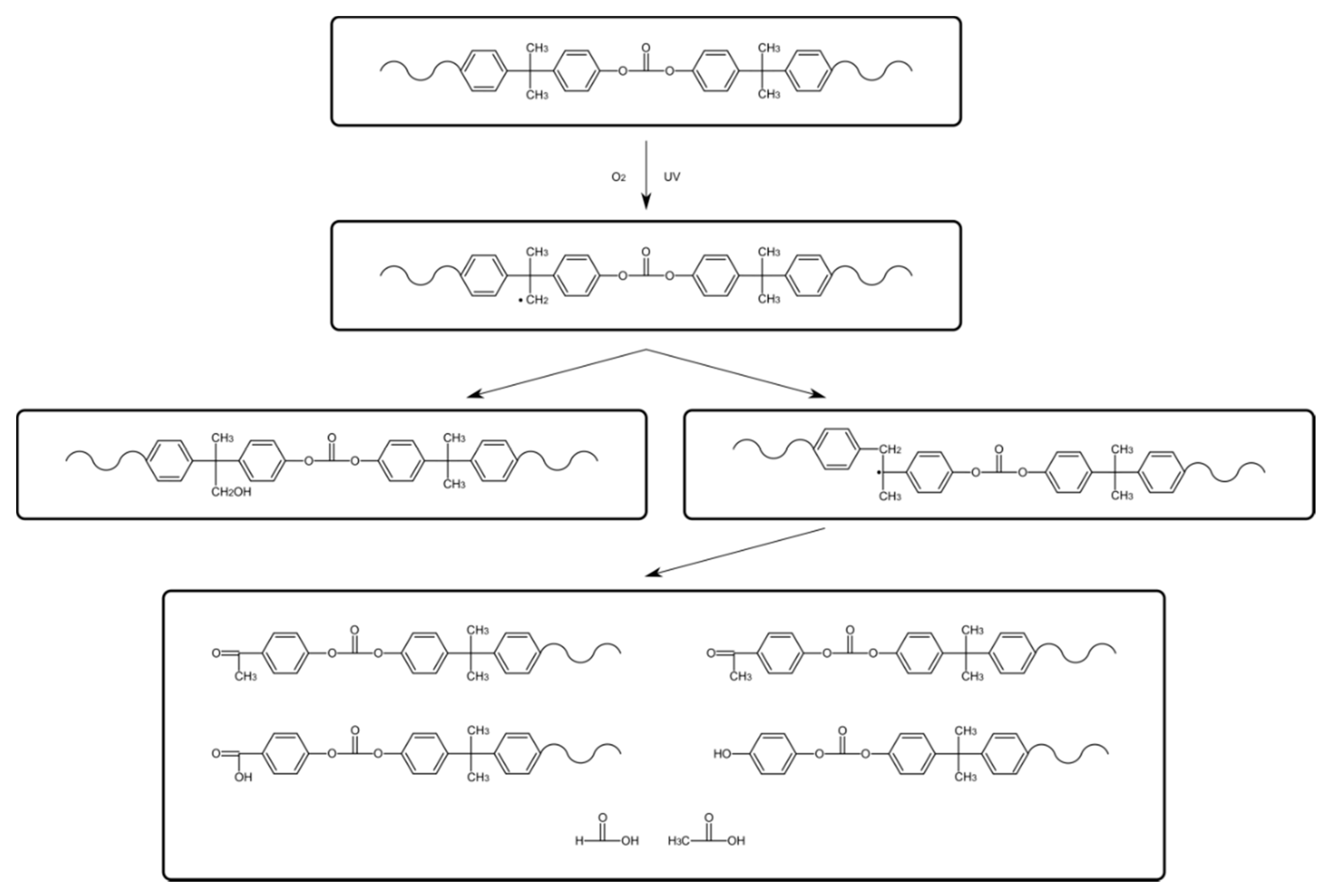 Polymers 13 03572 g001