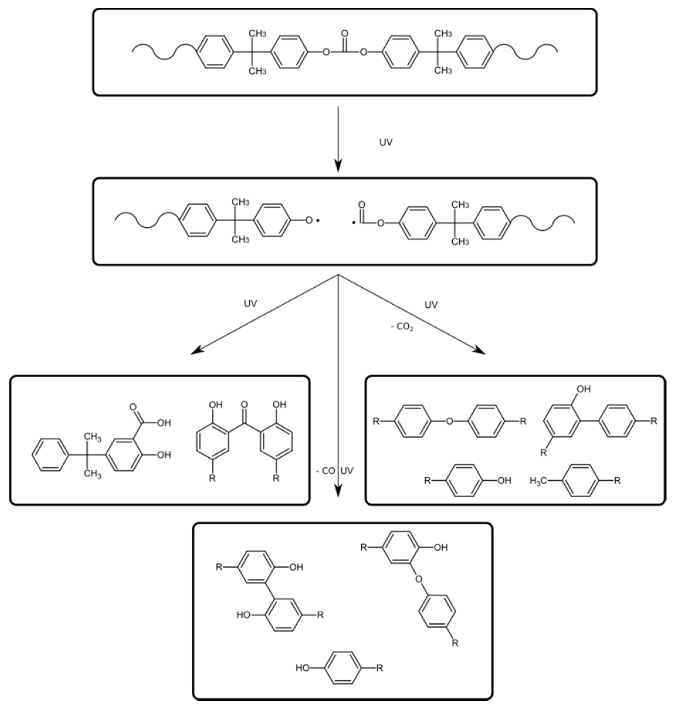 Polymers 13 03572 g002
