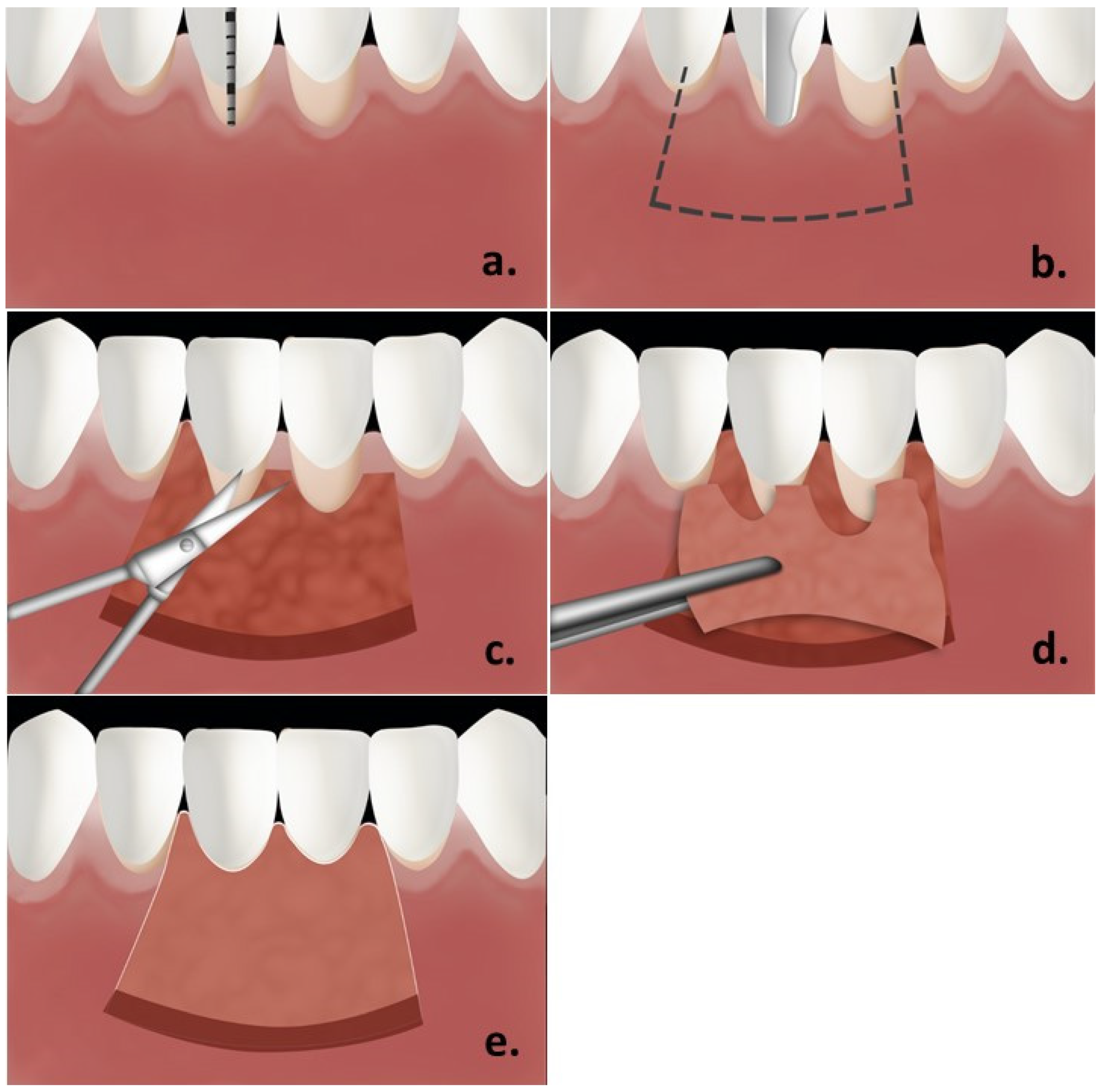 Polymers 13 03575 g001