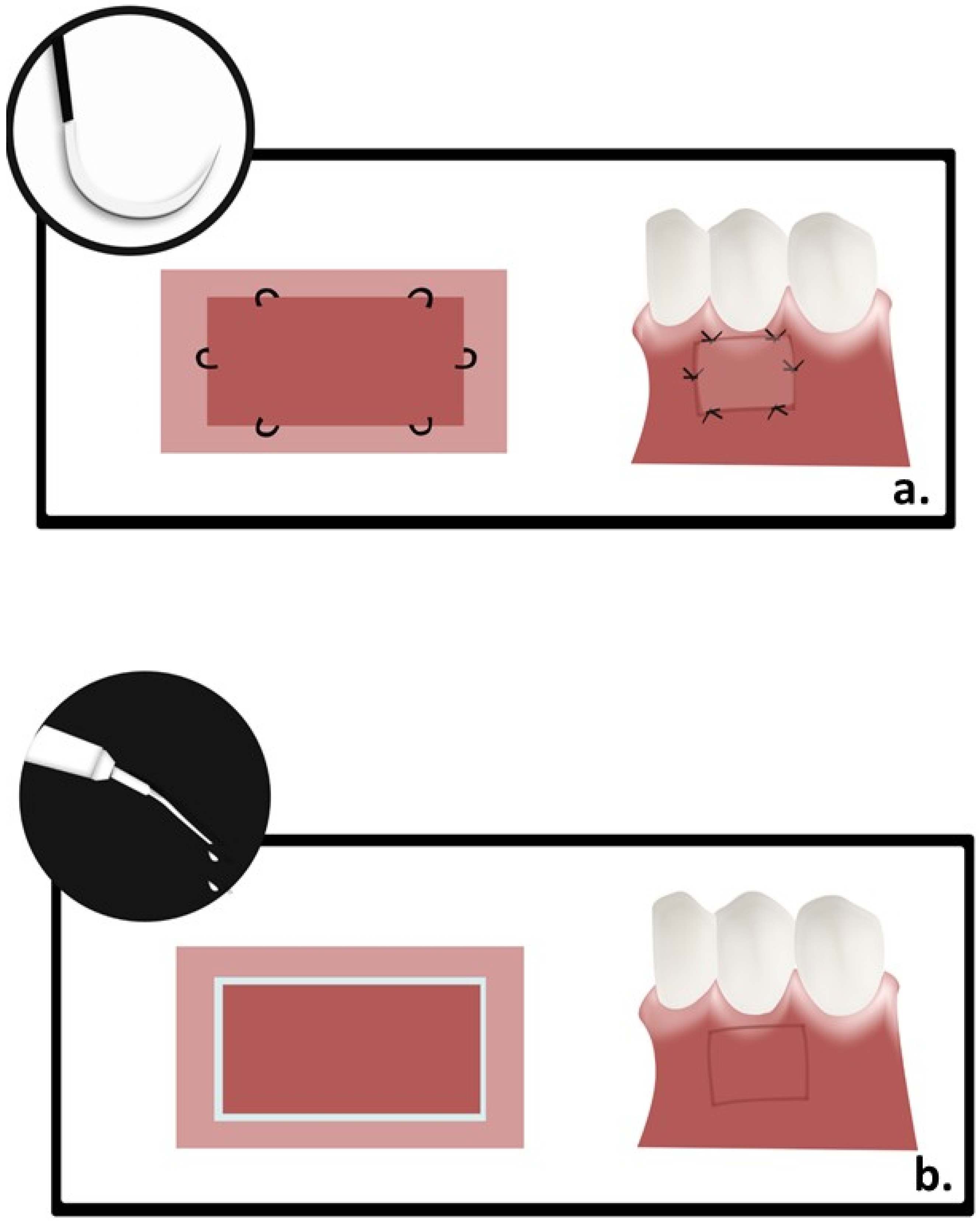 Polymers 13 03575 g002