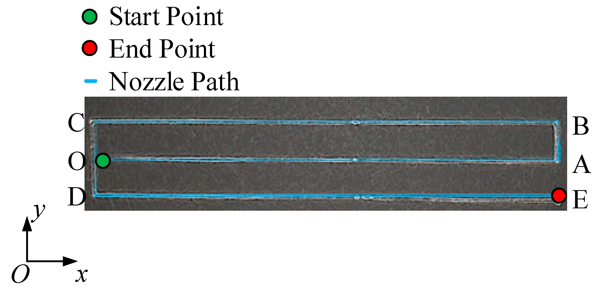 Polymers 13 03576 g004