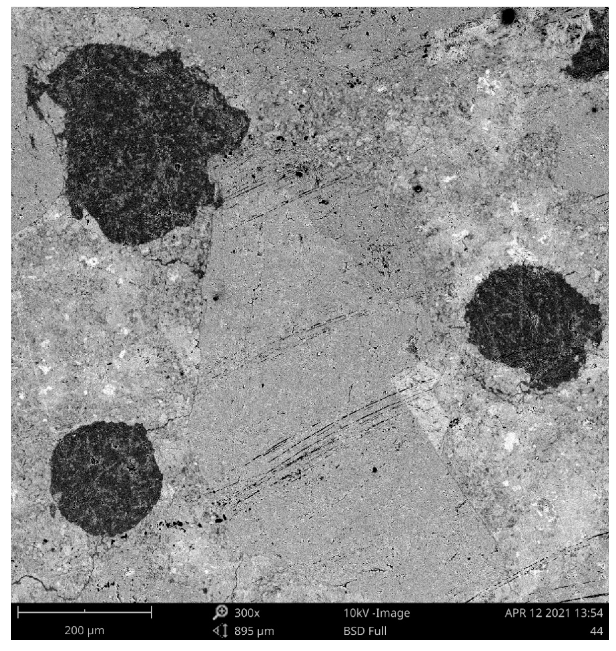 Polymers 13 03584 g002