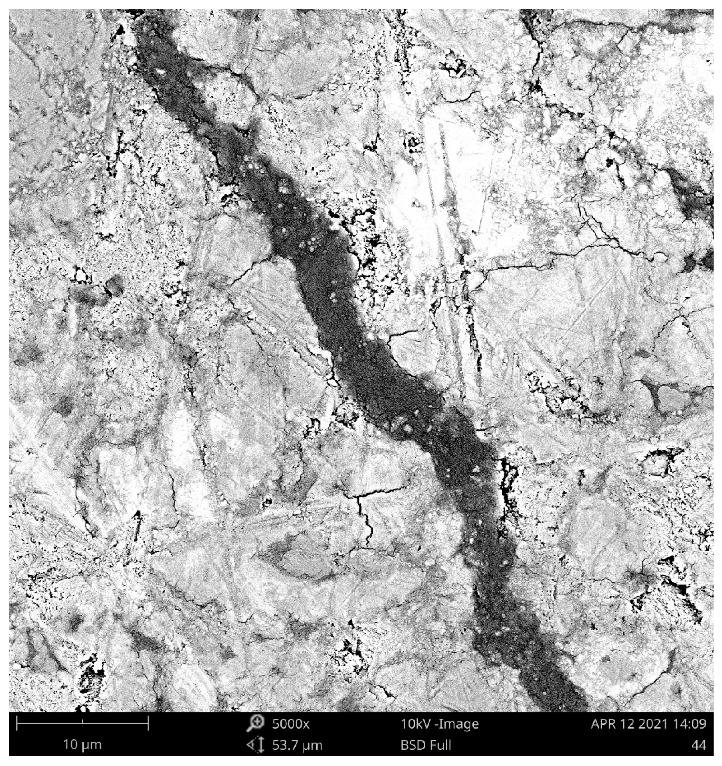 Polymers 13 03584 g004