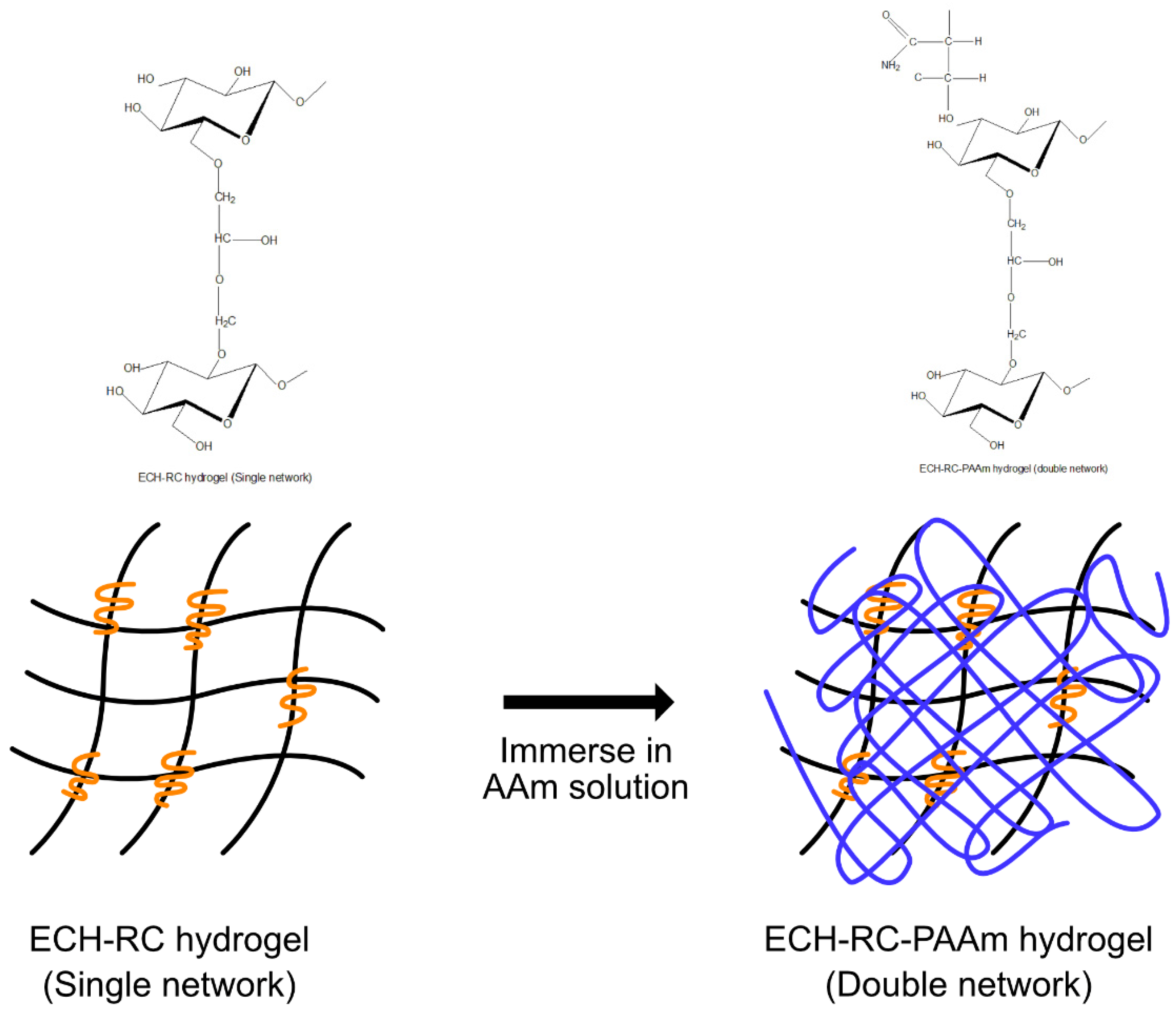 Polymers 13 03586 g004 Polymers 13 03586 g004