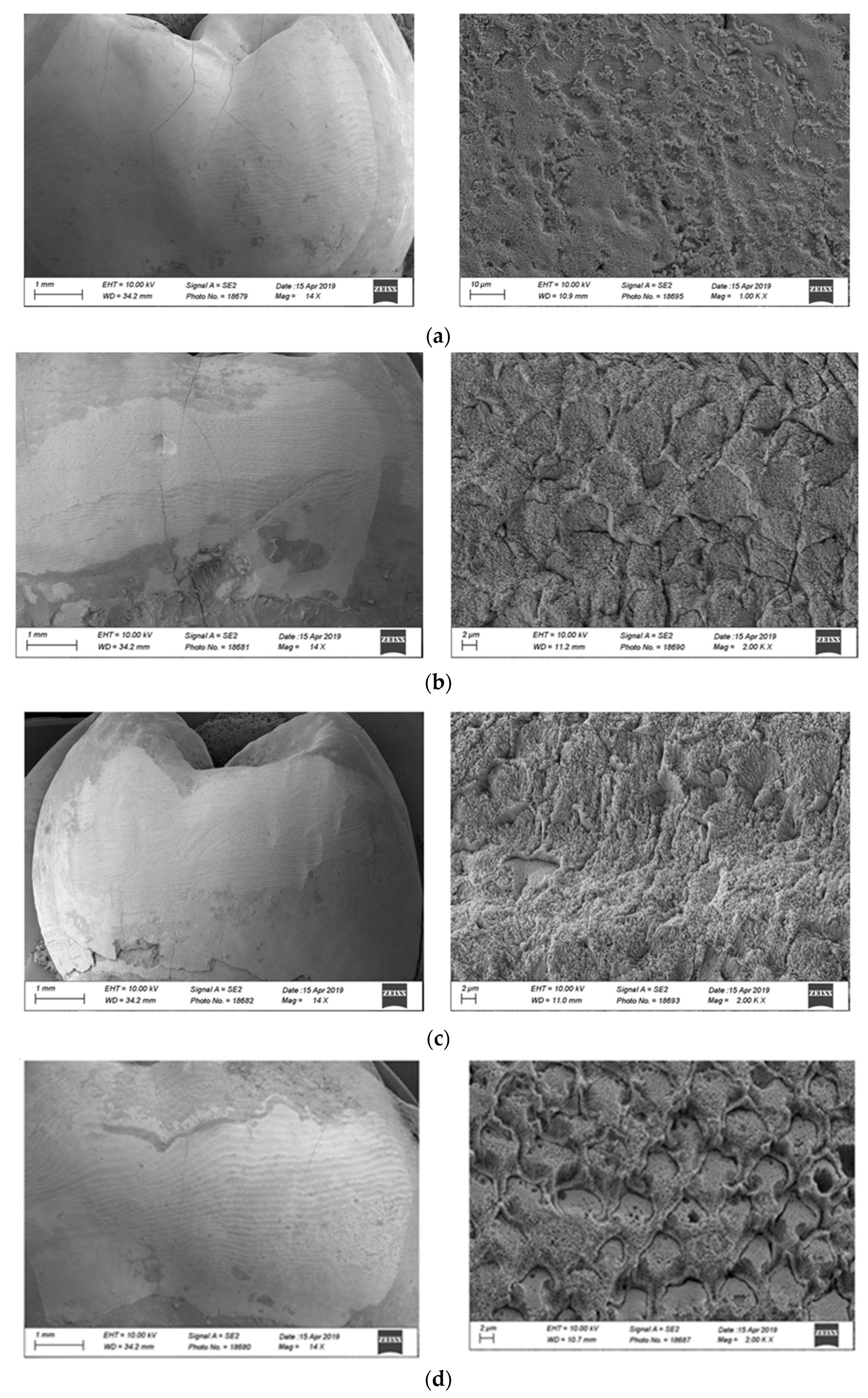 Polymers 13 03589 g003 Polymers 13 03589 g003