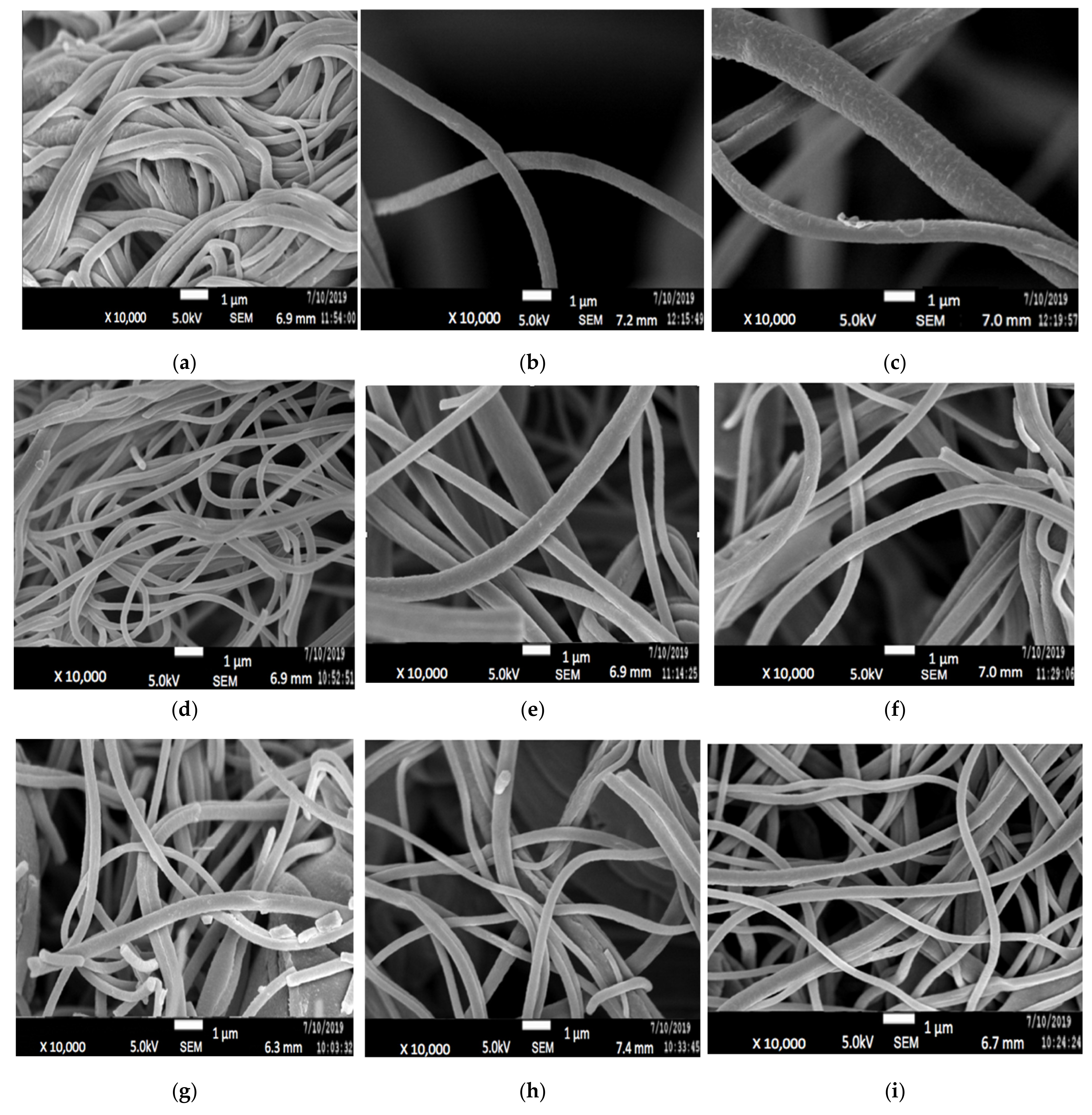 Polymers 13 03590 g001