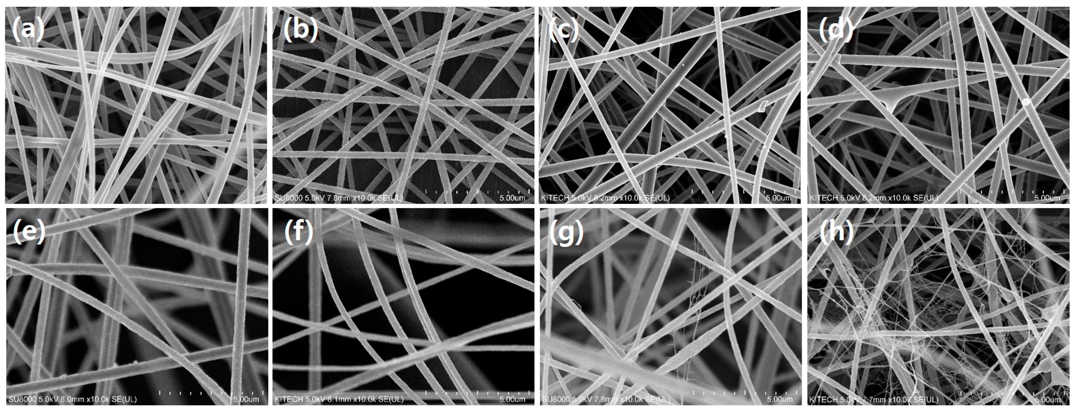 Polymers 13 03591 g002