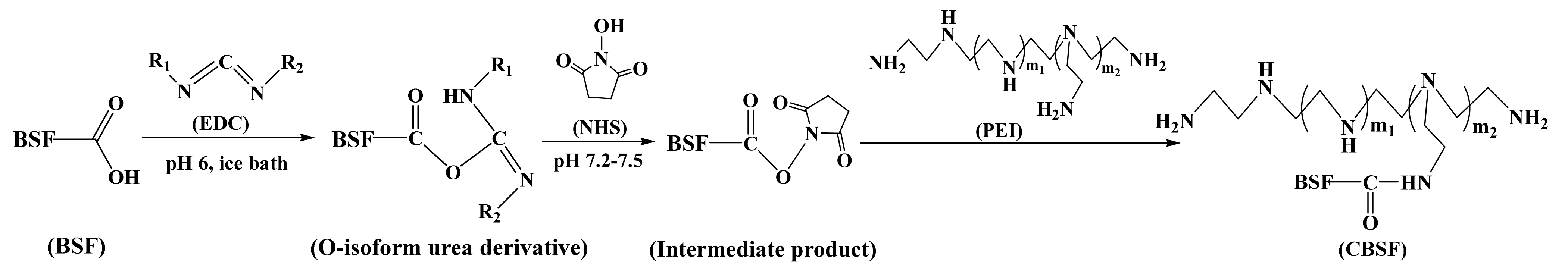 Polymers 13 03592 g001