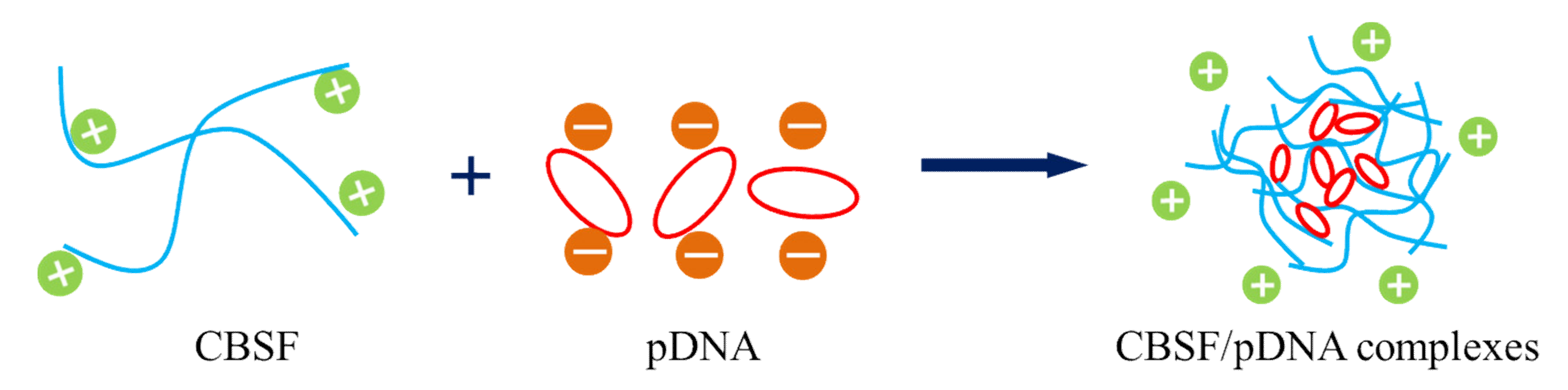 Polymers 13 03592 g003