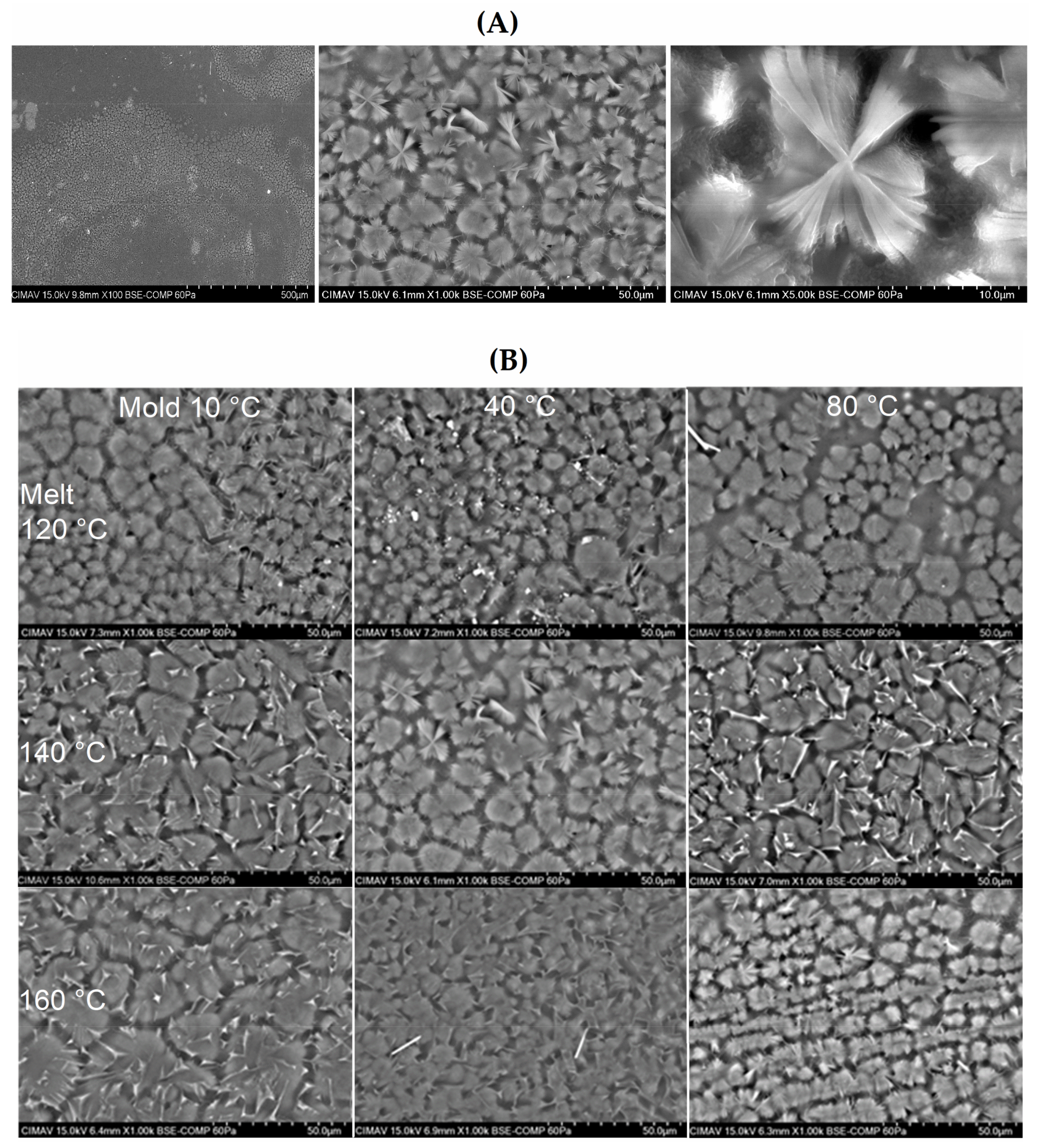 Polymers 13 03597 g001