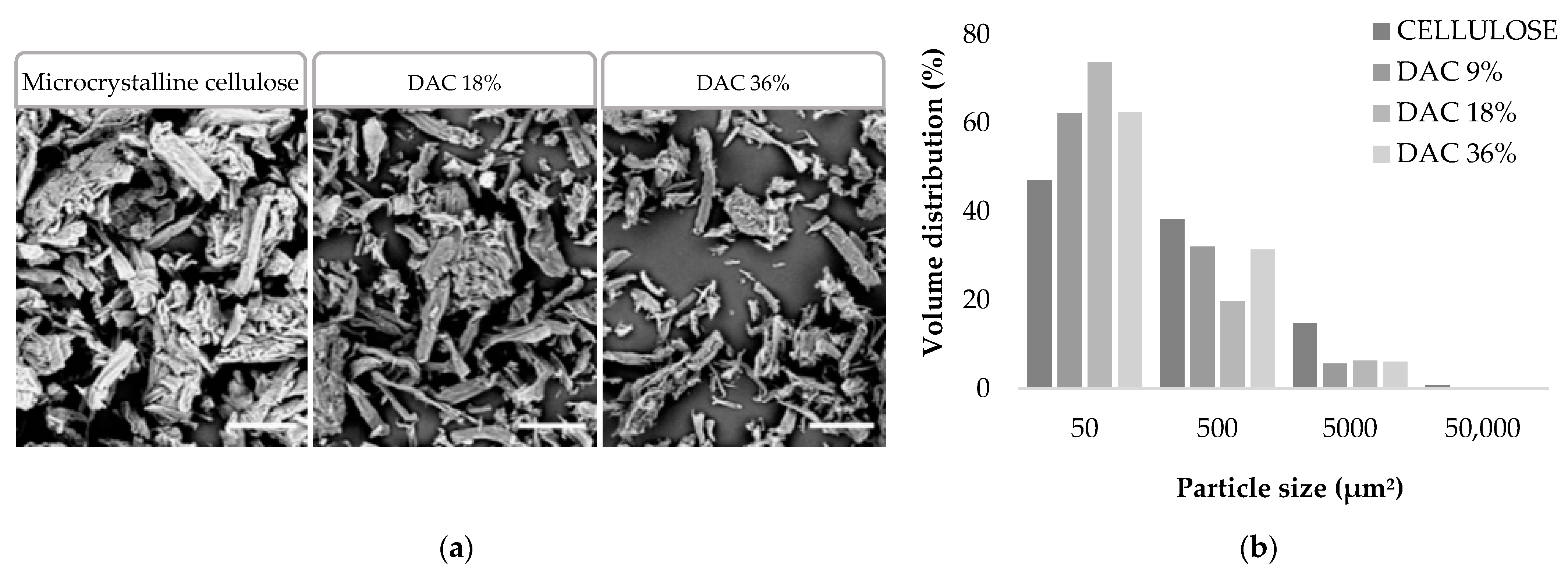 Polymers 13 03598 g002