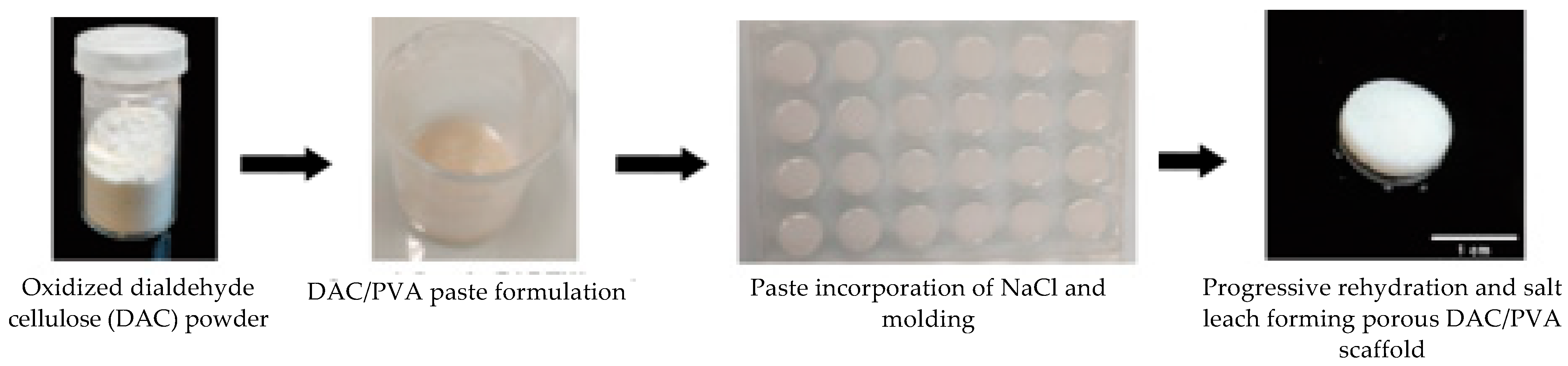 Polymers 13 03598 g003