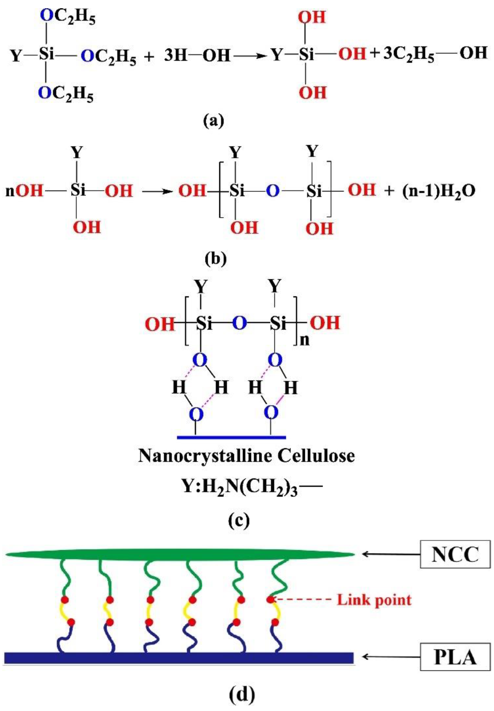 Polymers 13 03600 g004