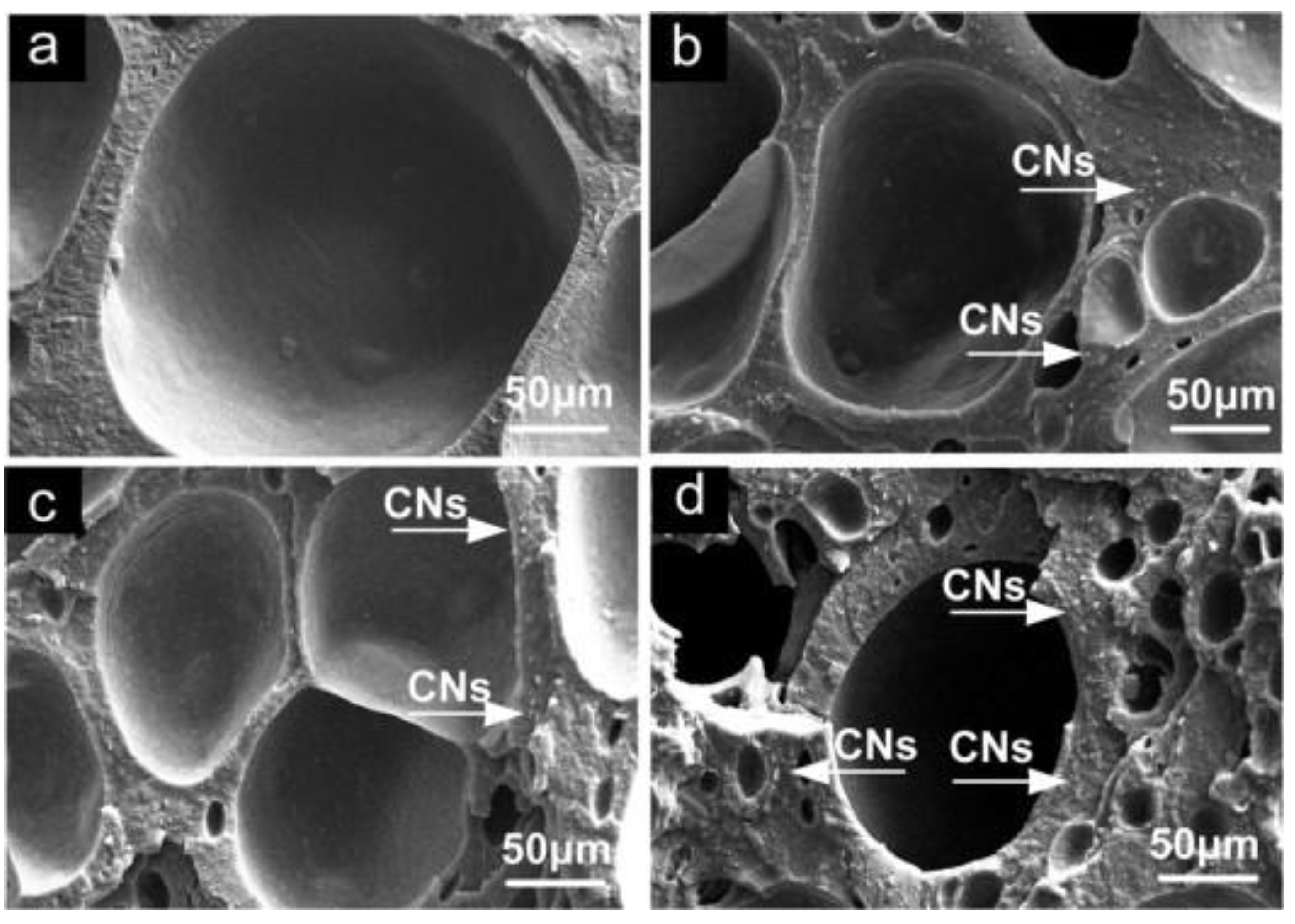 Polymers 13 03600 g005