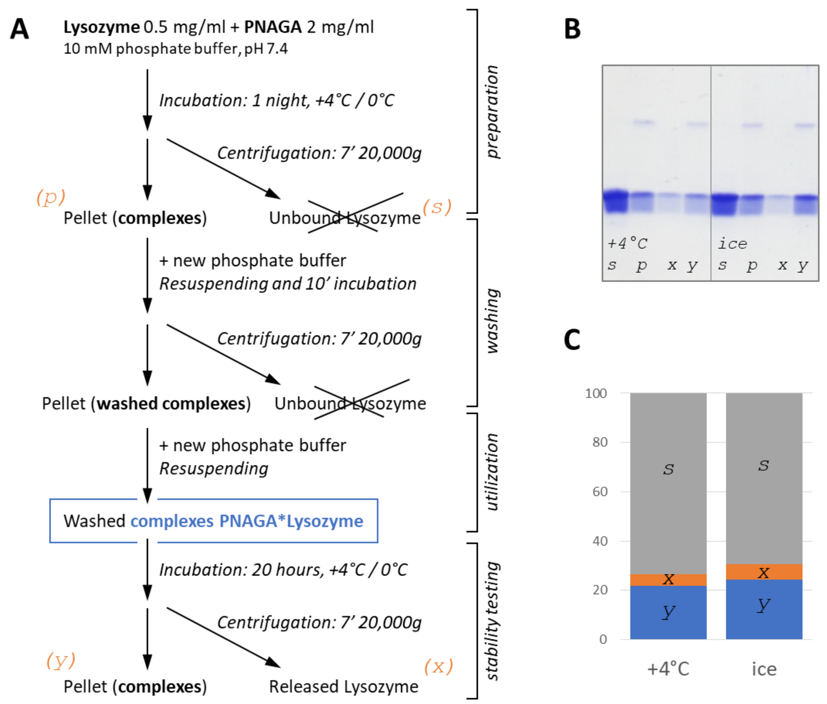 Polymers 13 03601 g001