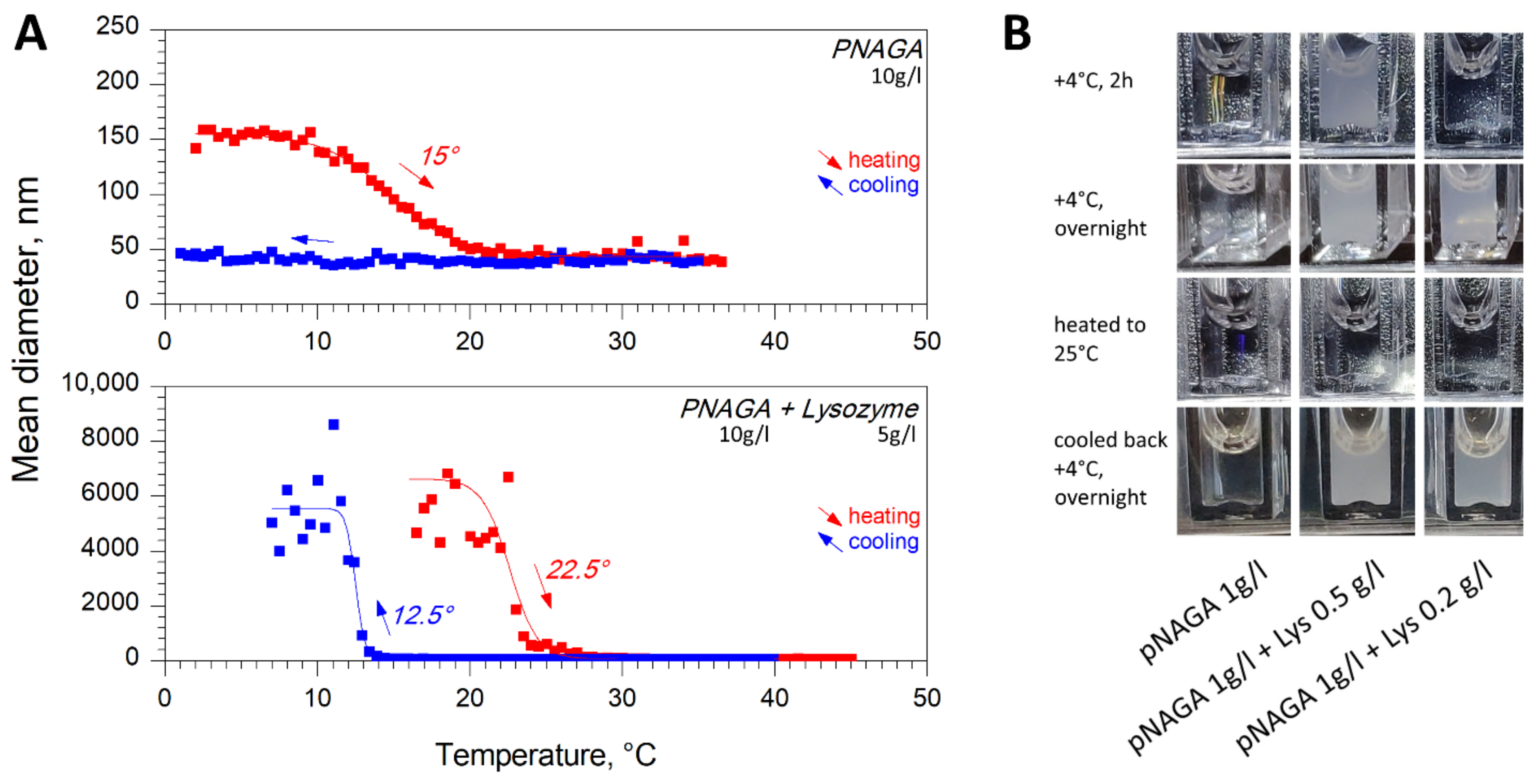Polymers 13 03601 g002