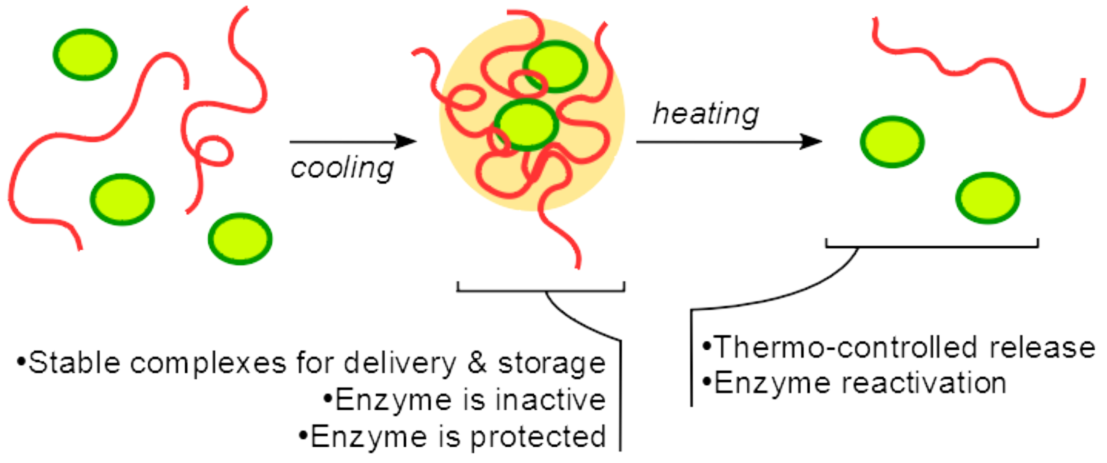 Polymers 13 03601 g005