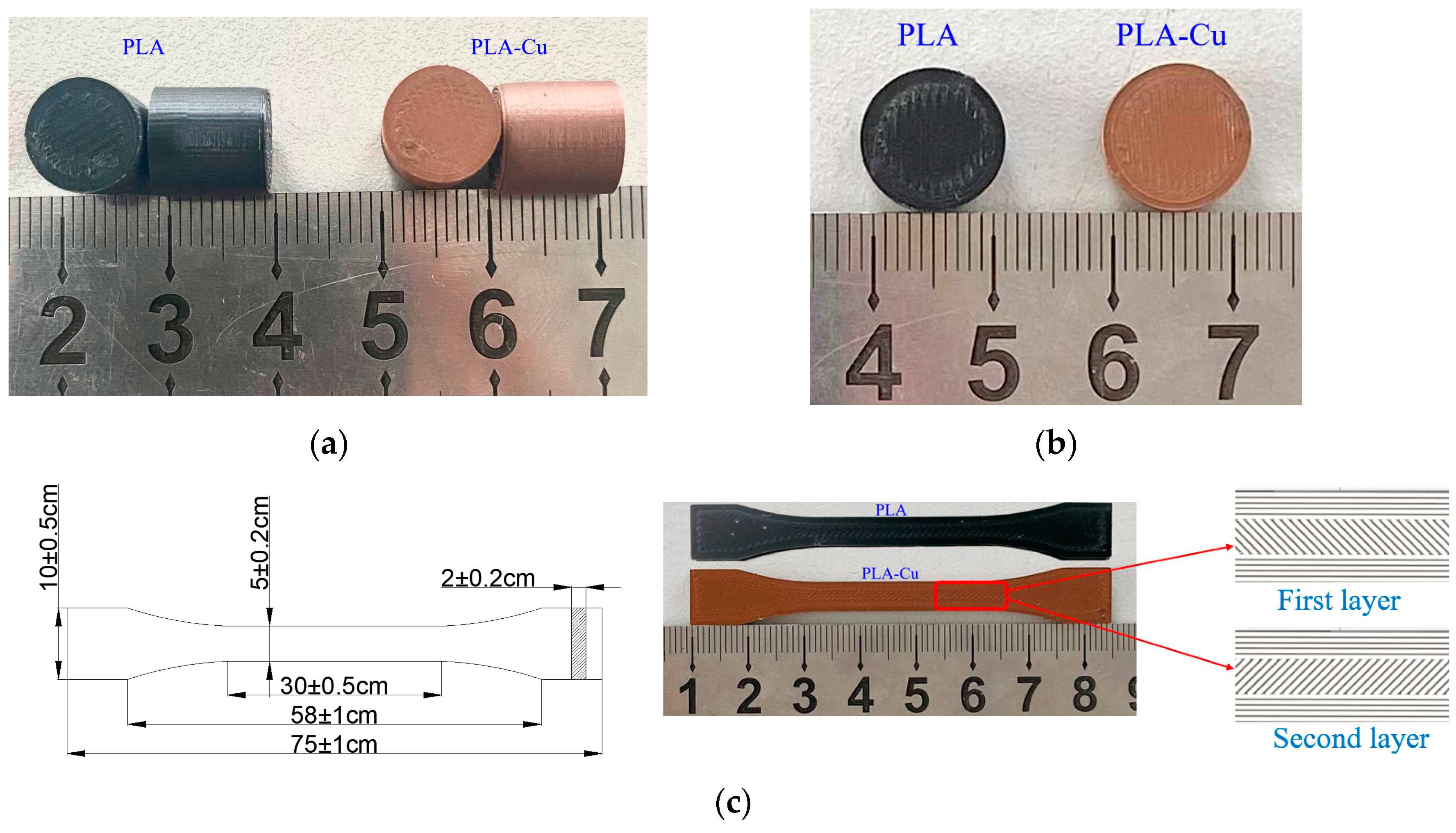 Polymers 13 03605 g001