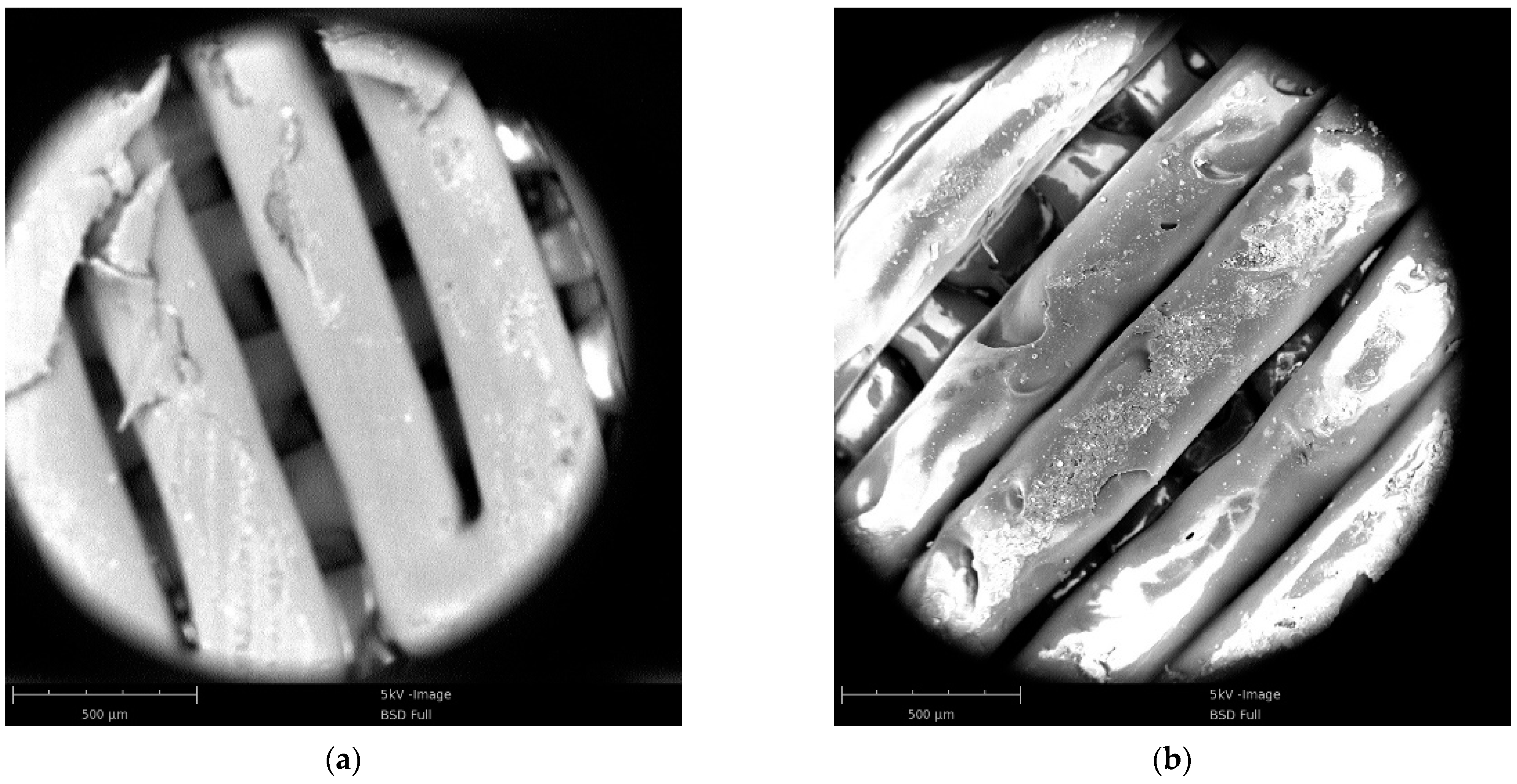 Polymers 13 03605 g009a
