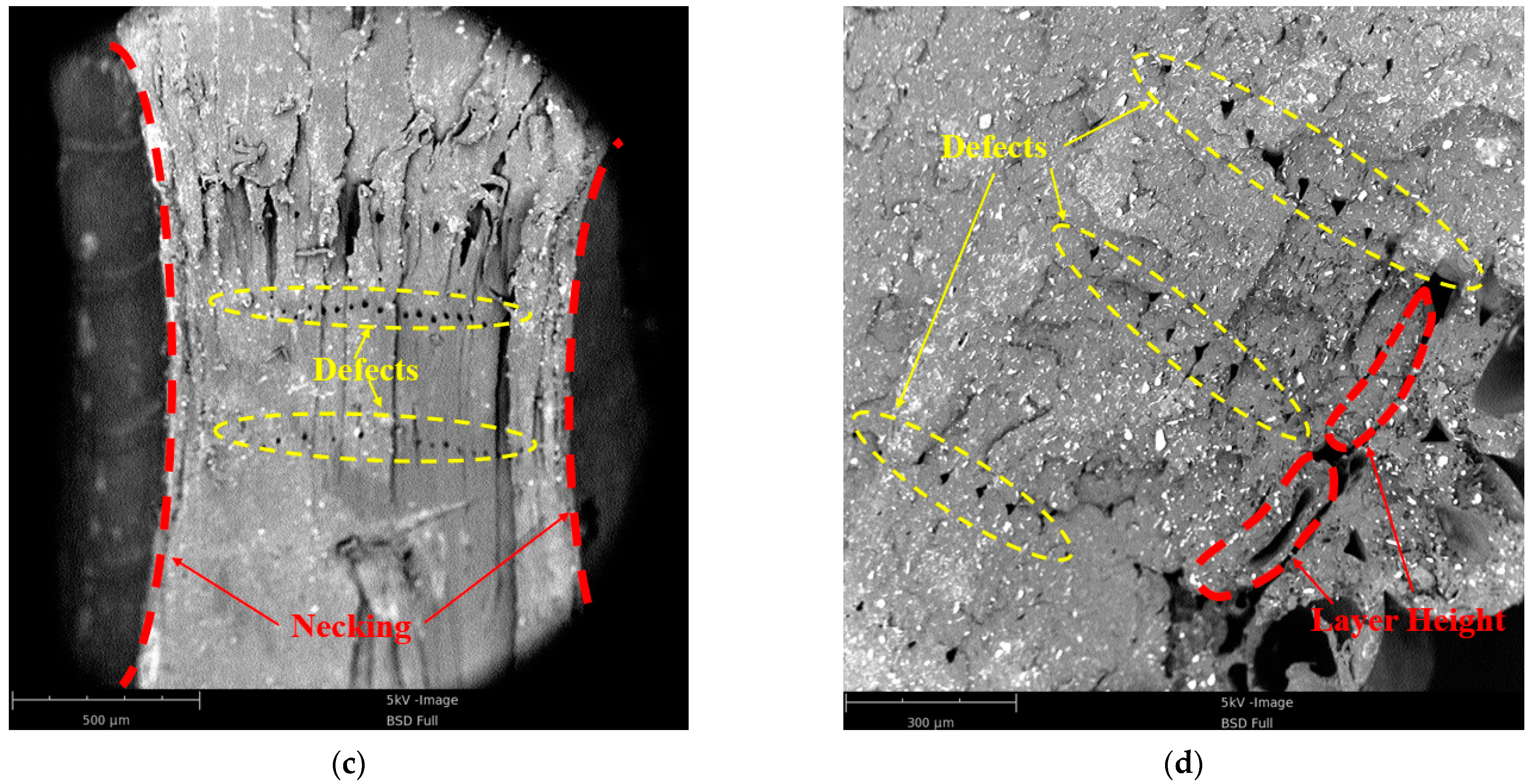 Polymers 13 03605 g009b