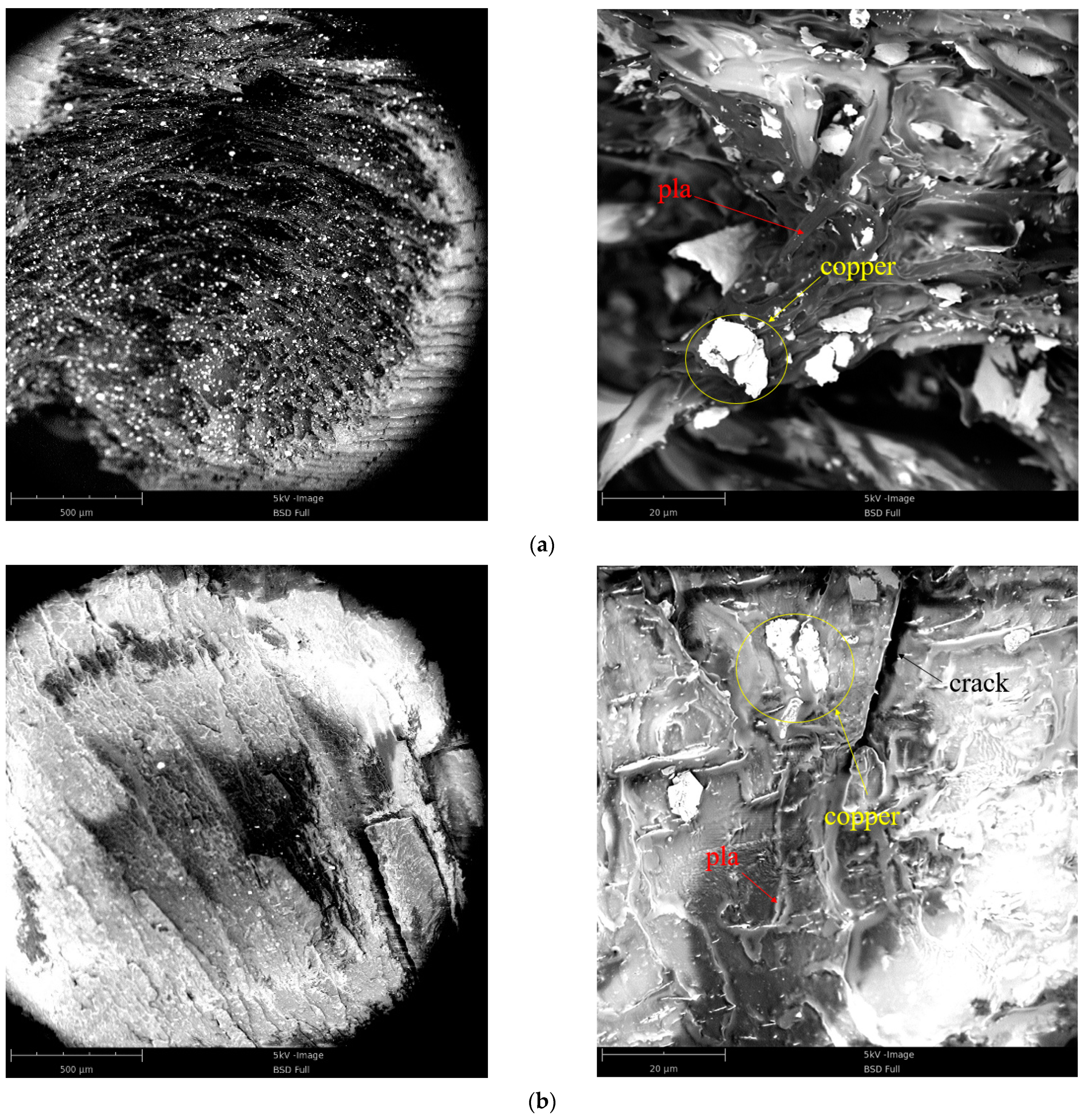 Polymers 13 03605 g010