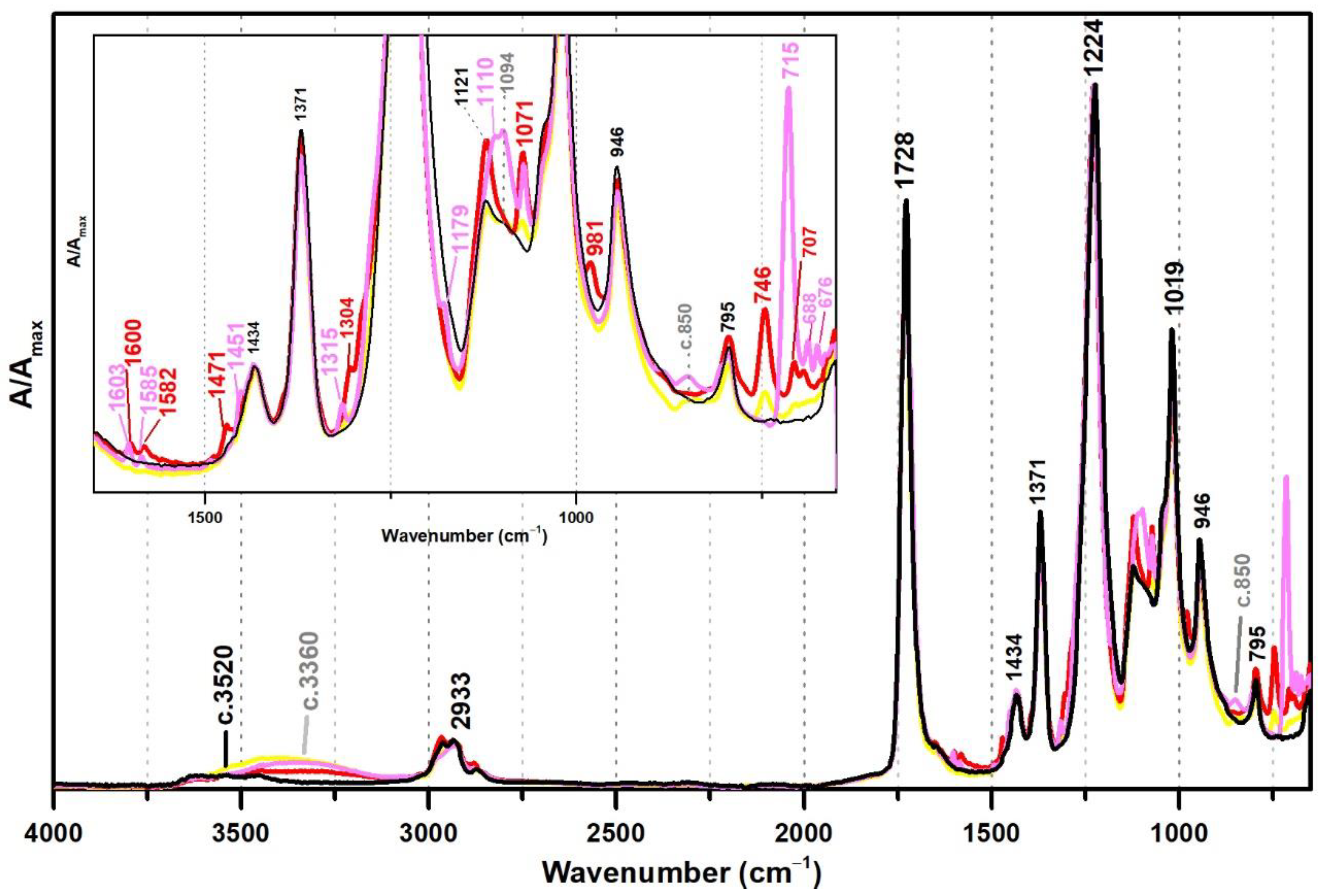 Polymers 13 03609 g005