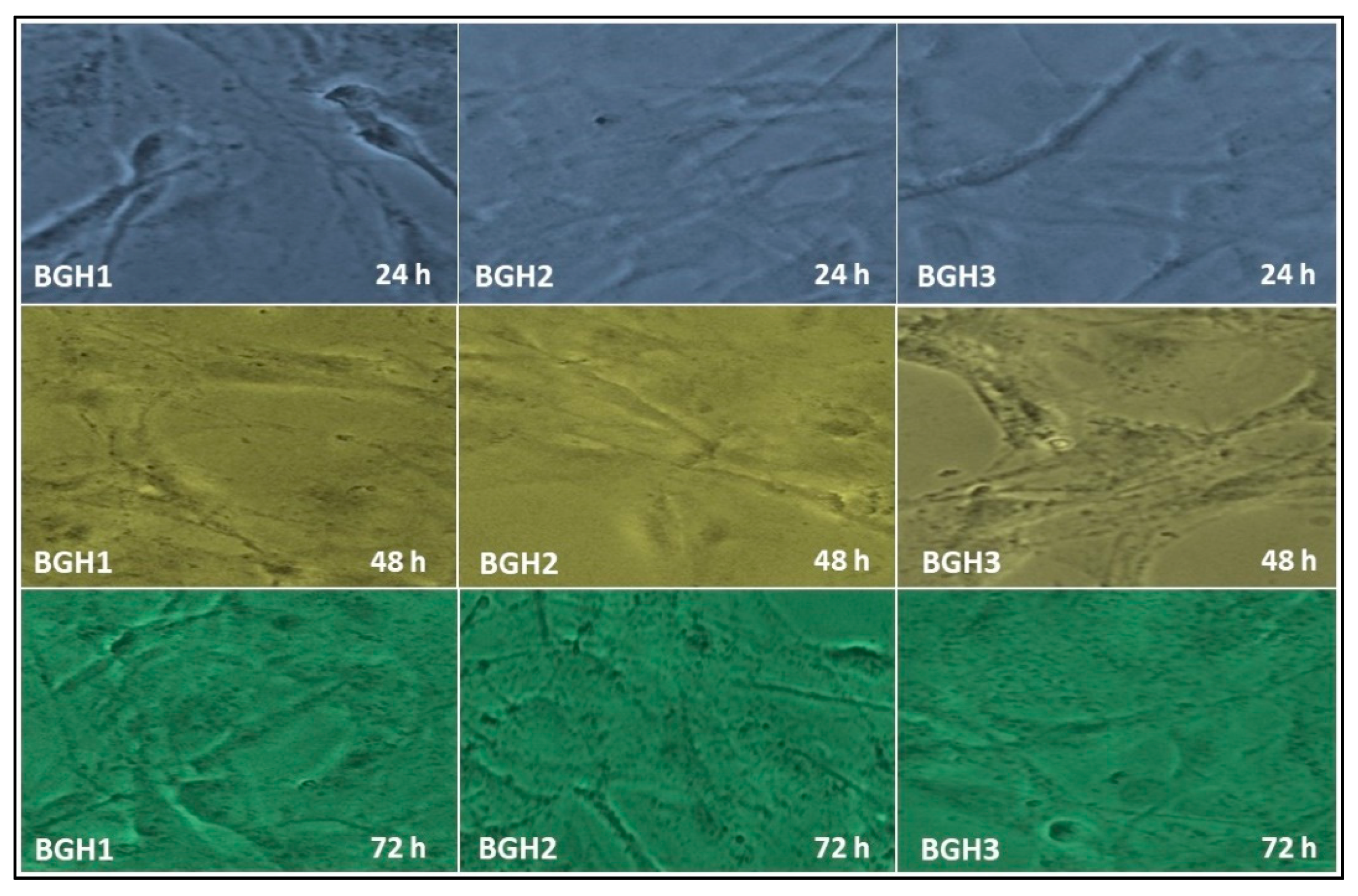 Polymers 13 03611 g007