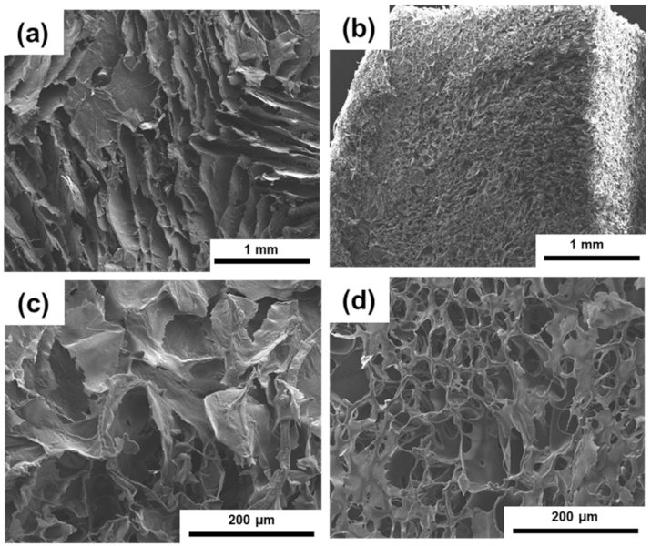 Polymers 13 03614 g005