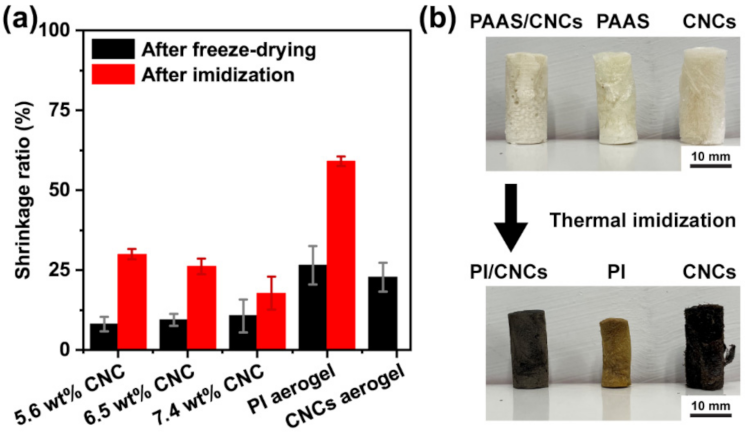 Polymers 13 03614 g006