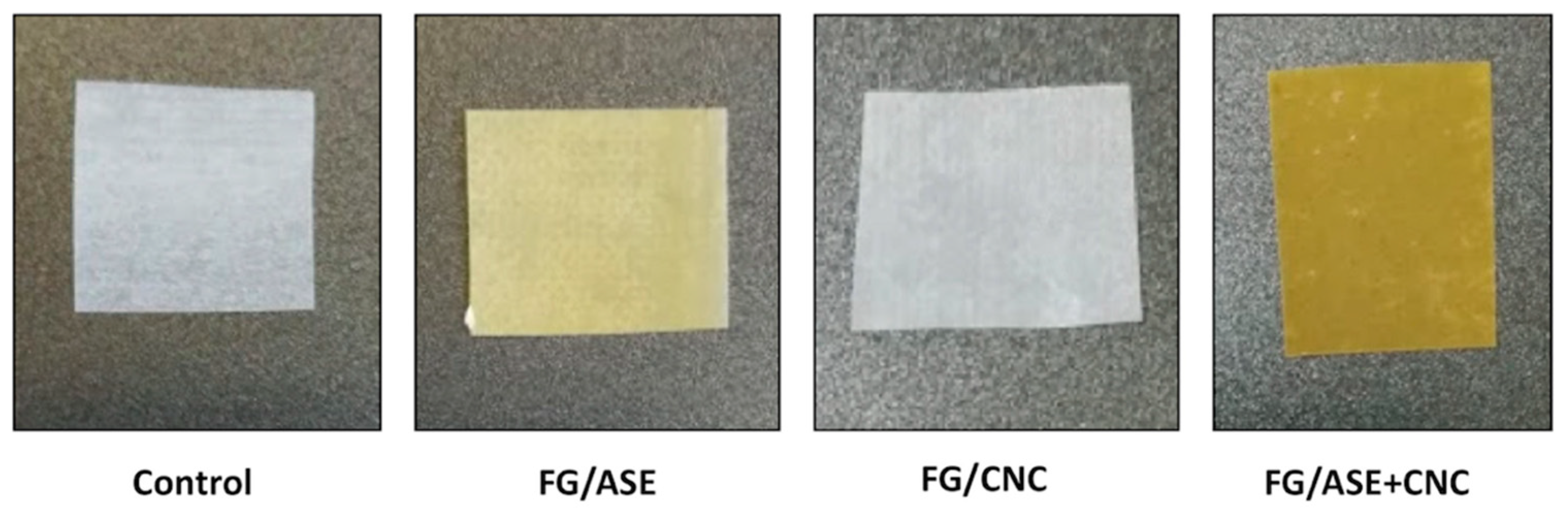 Polymers 13 03615 g002