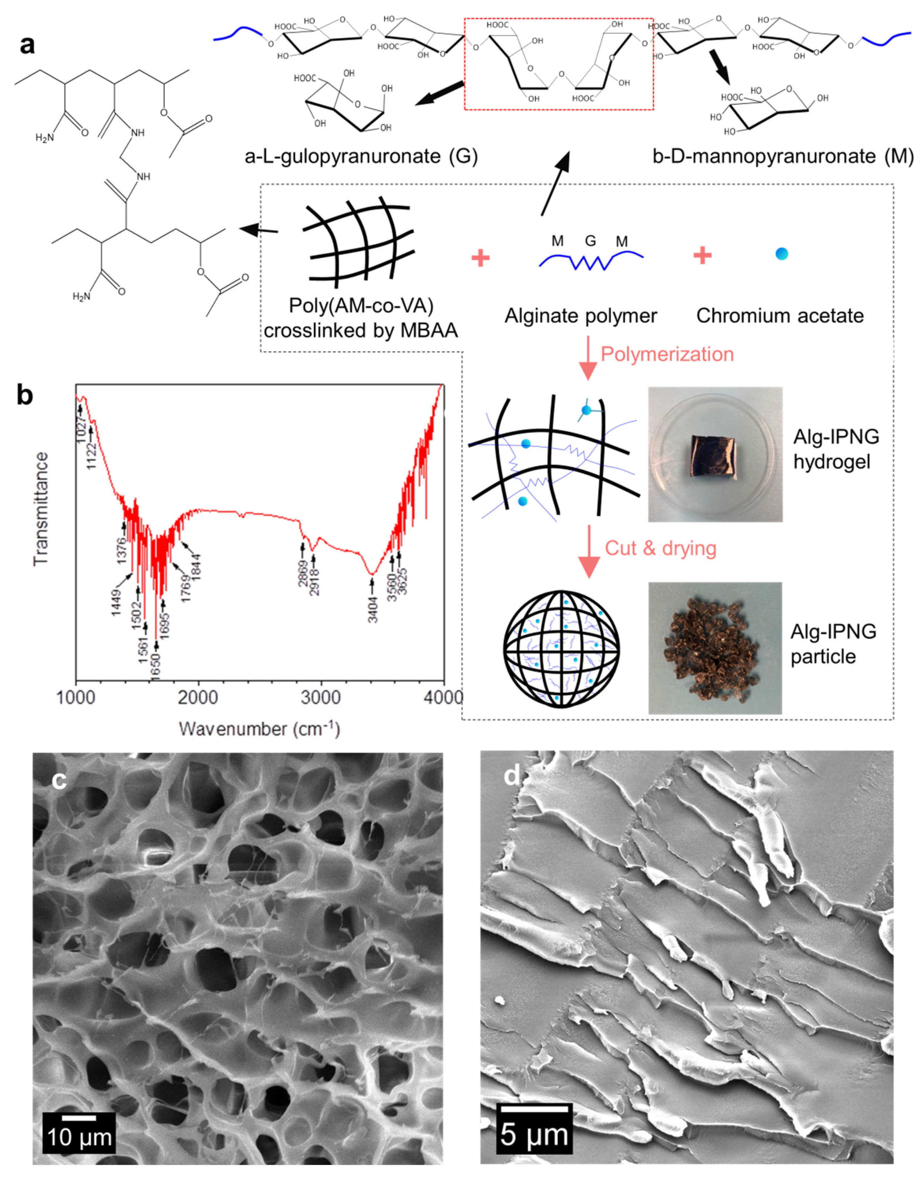 Polymers 13 03616 g001
