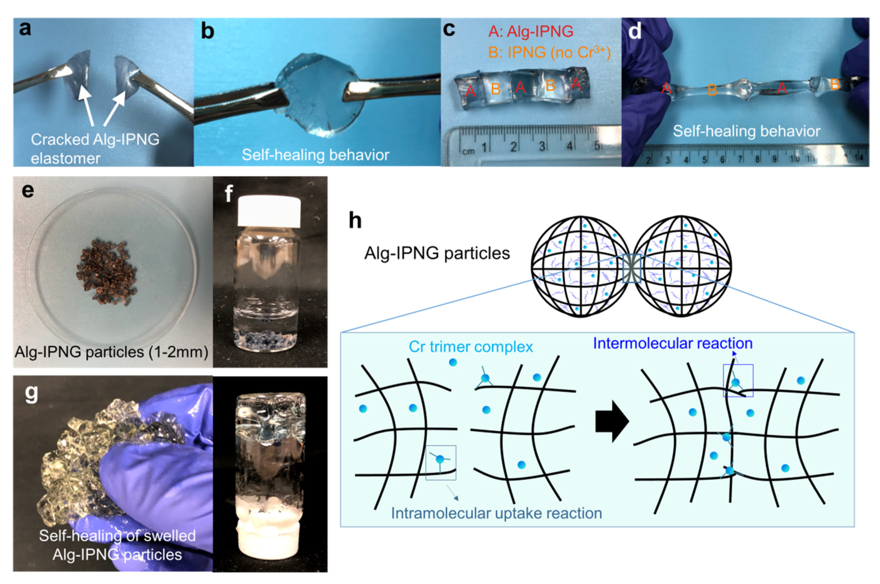 Polymers 13 03616 g003