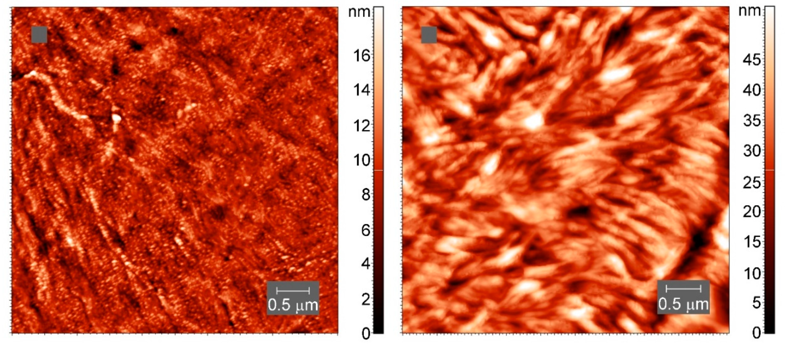 Polymers 13 03617 g012