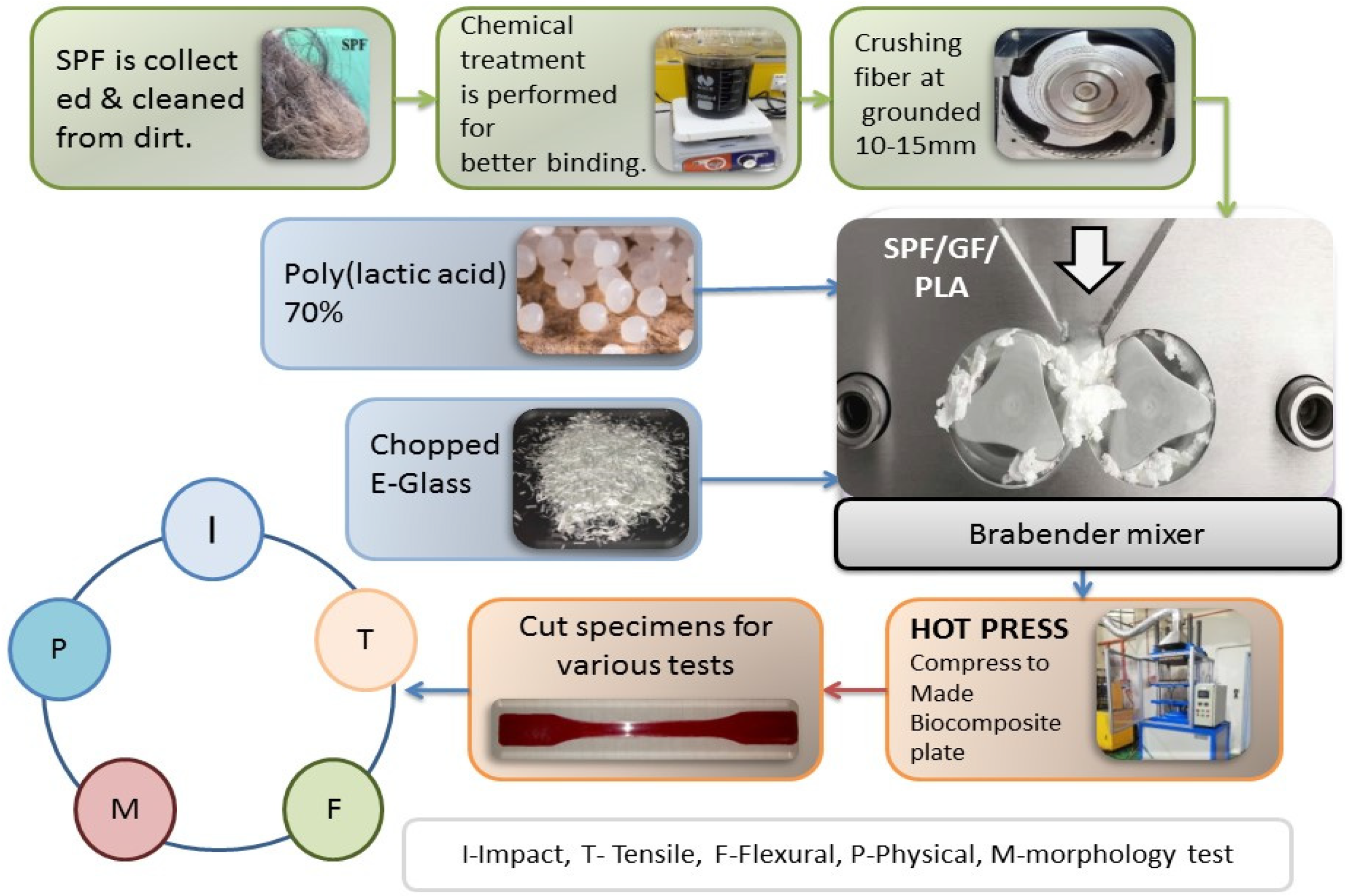 Polymers 13 03620 g001