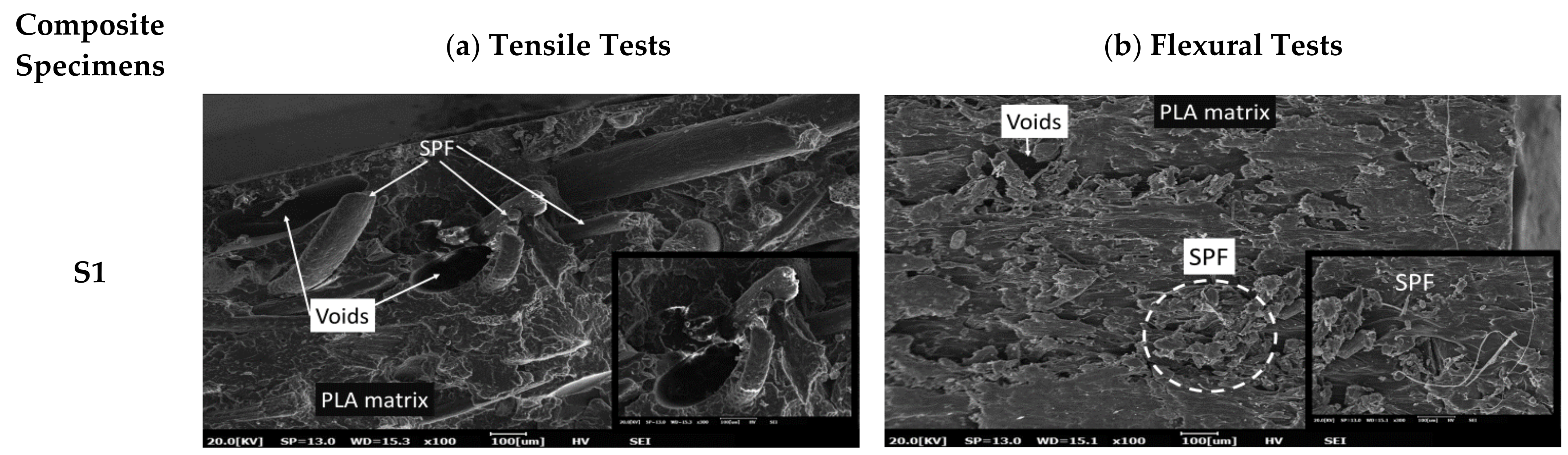 Polymers 13 03620 g008a