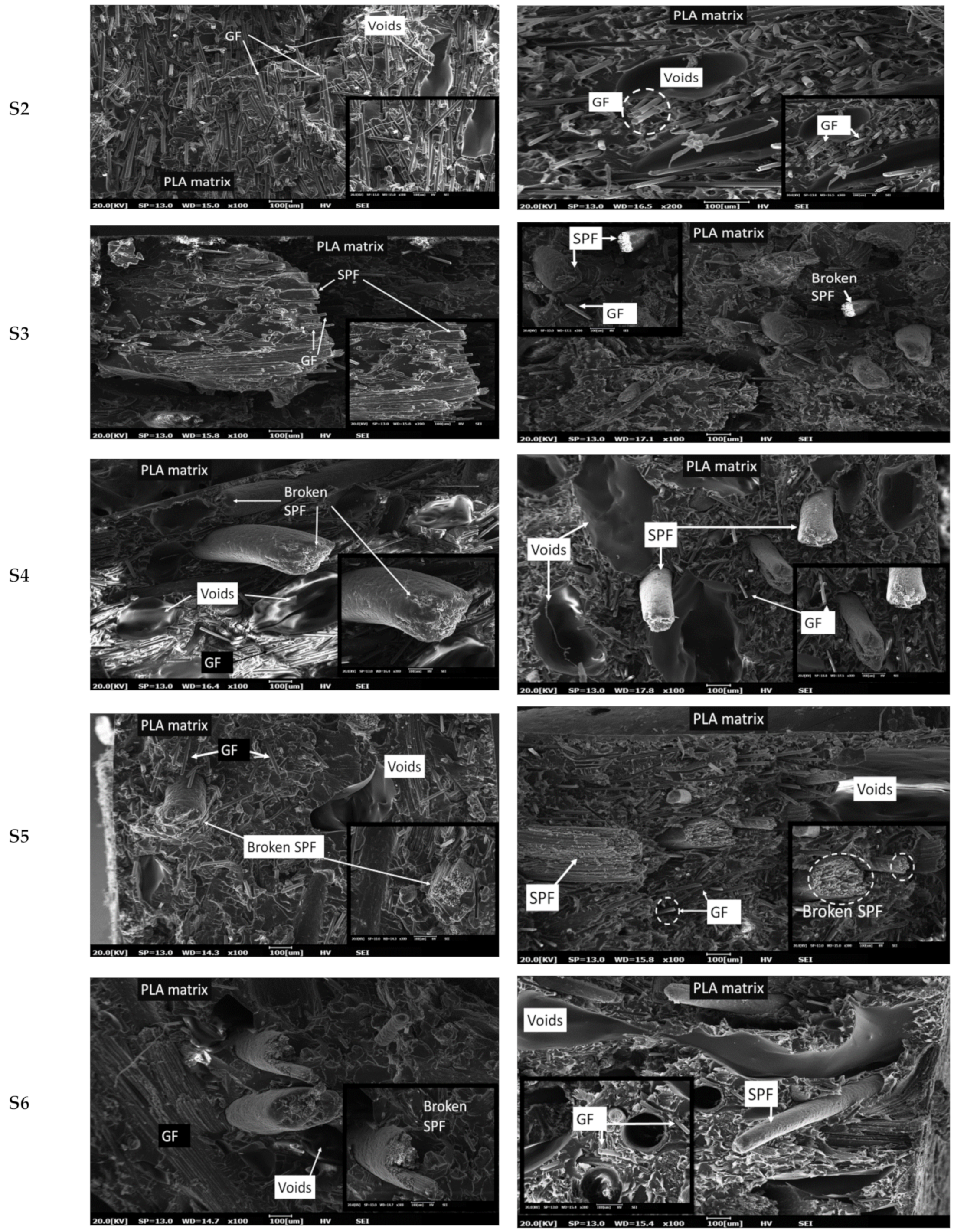 Polymers 13 03620 g008b