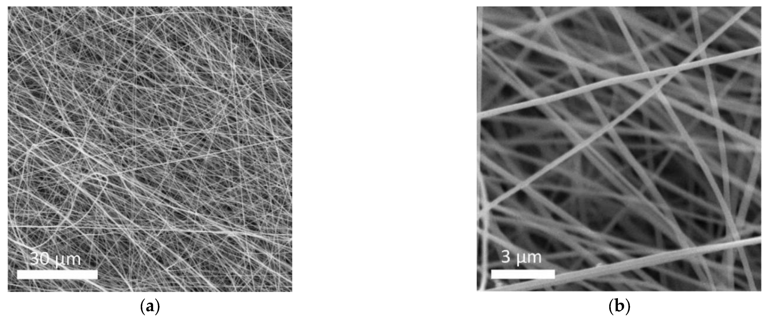 Polymers 13 03622 g002