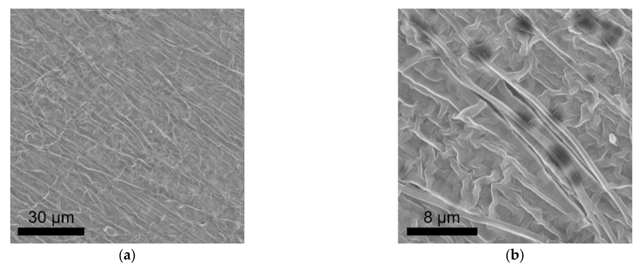 Polymers 13 03622 g005