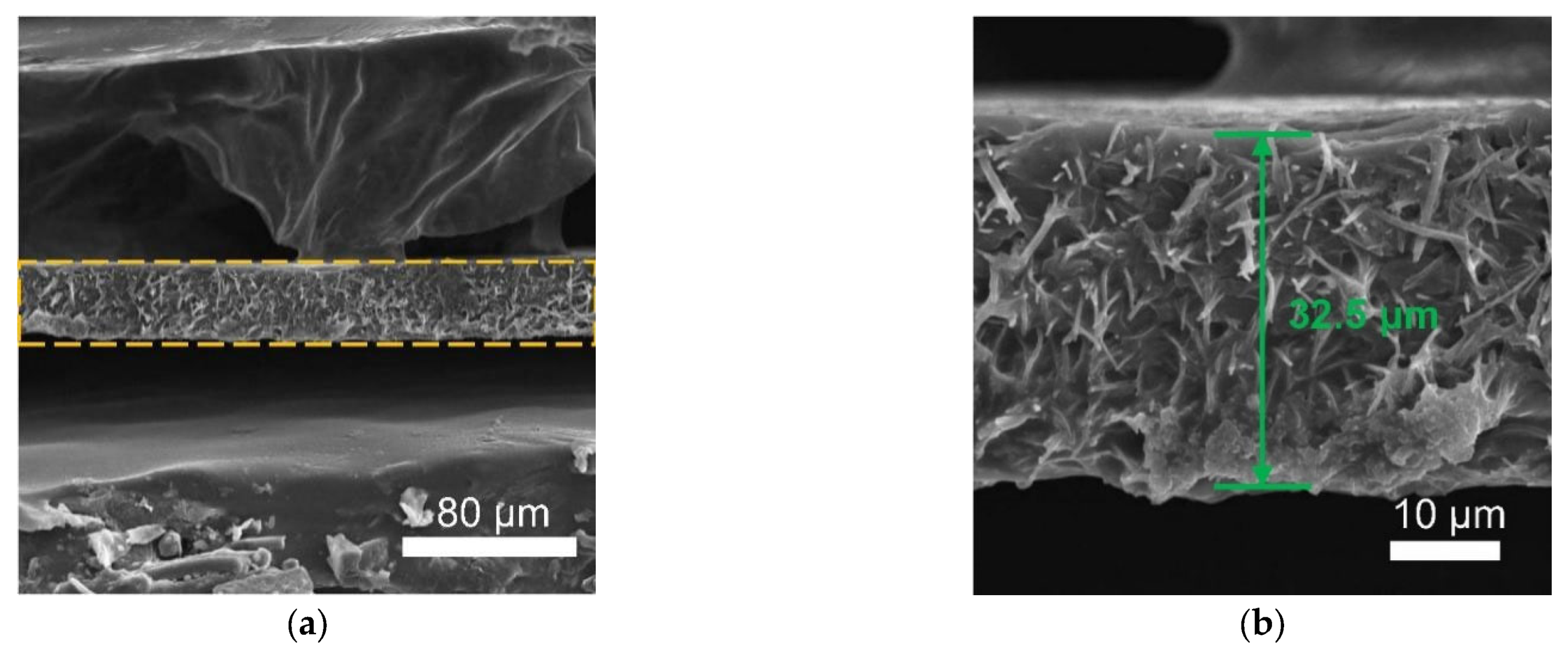 Polymers 13 03622 g006
