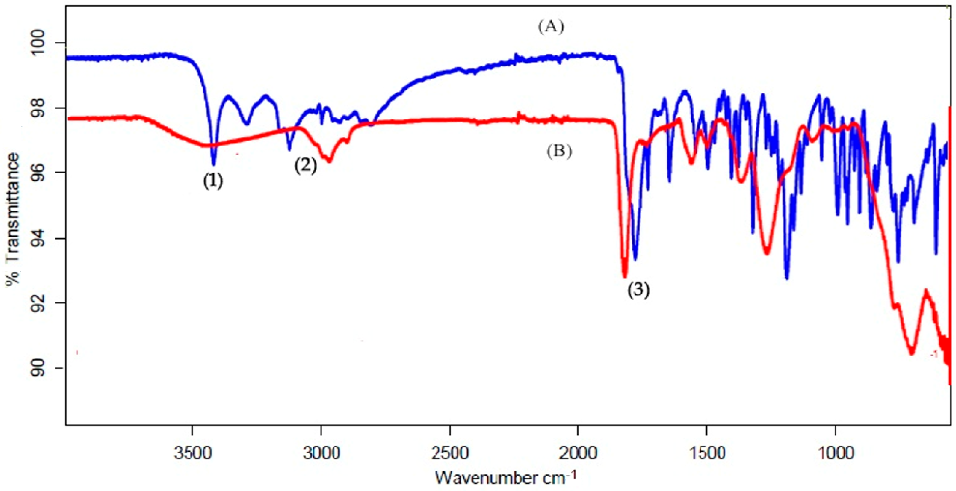 Polymers 13 03623 g001