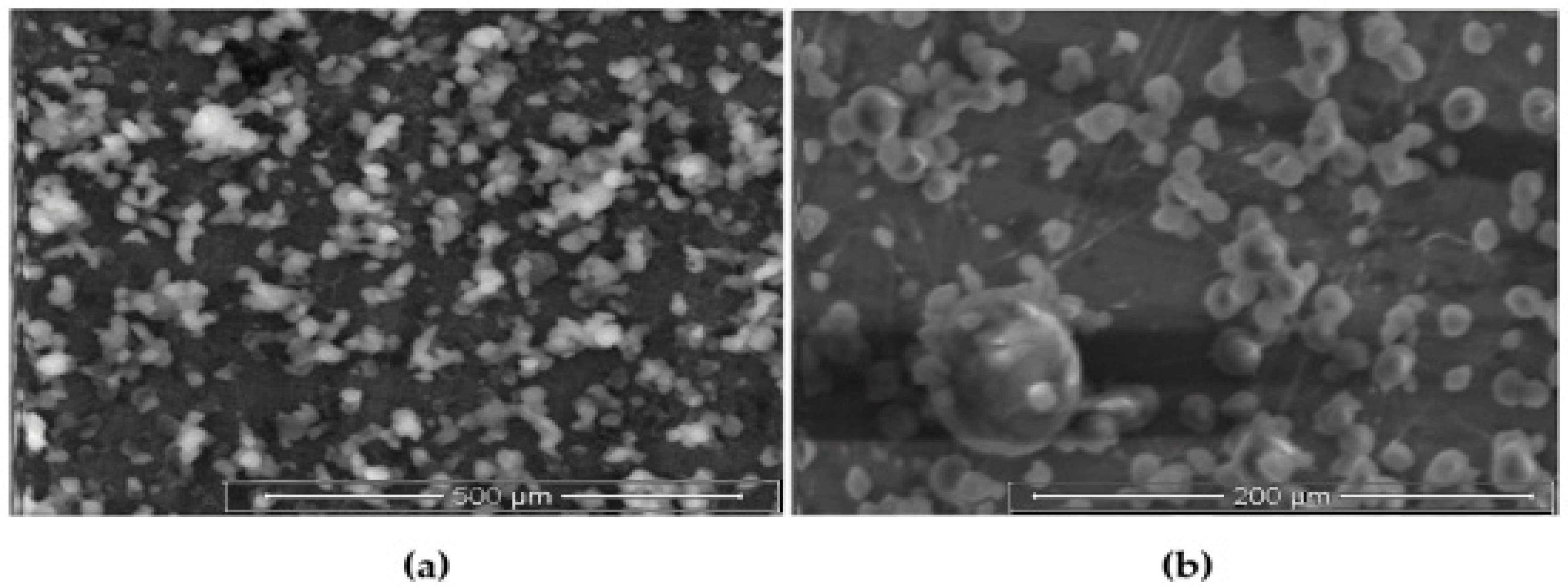 Polymers 13 03623 g007