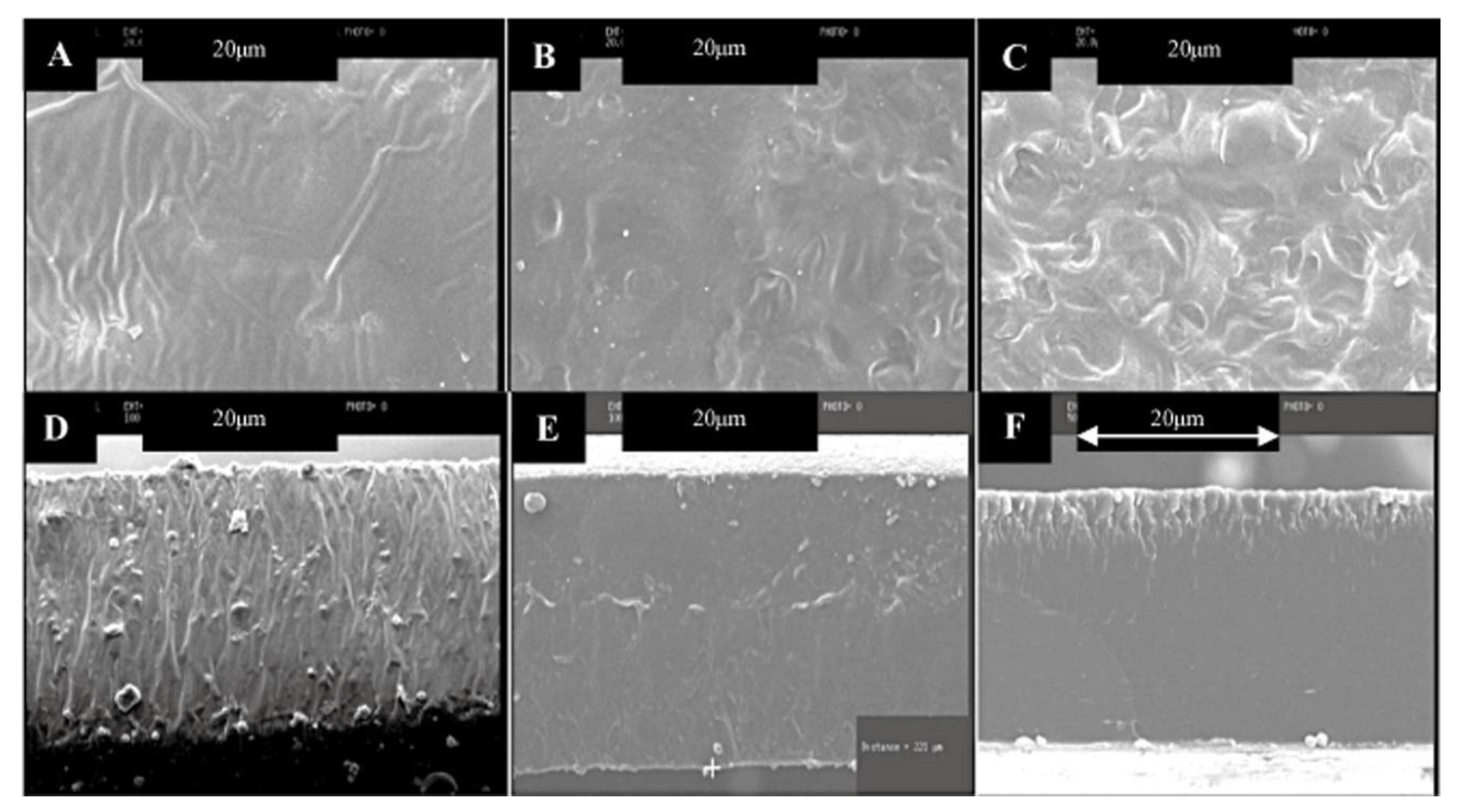 Polymers 13 03624 g005