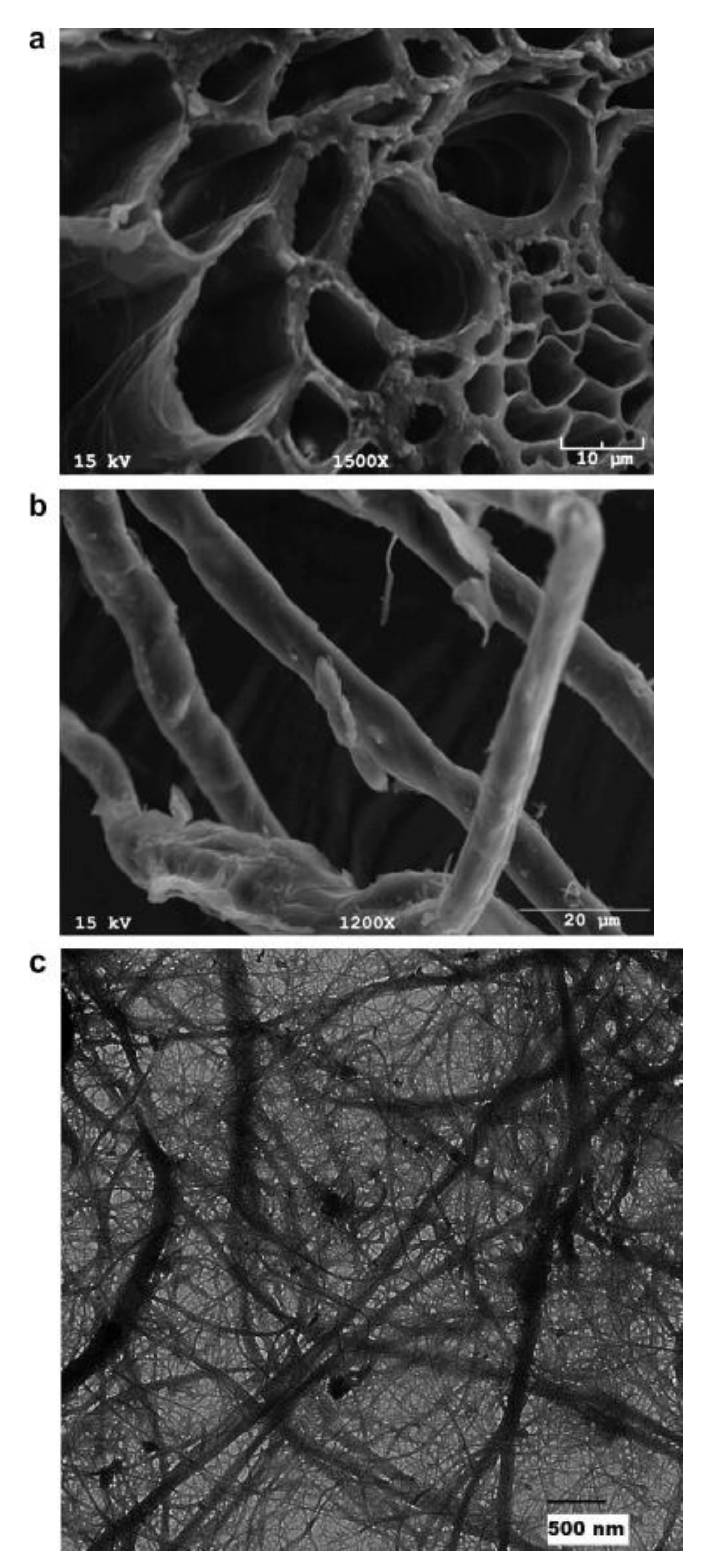 Polymers 13 03624 g006