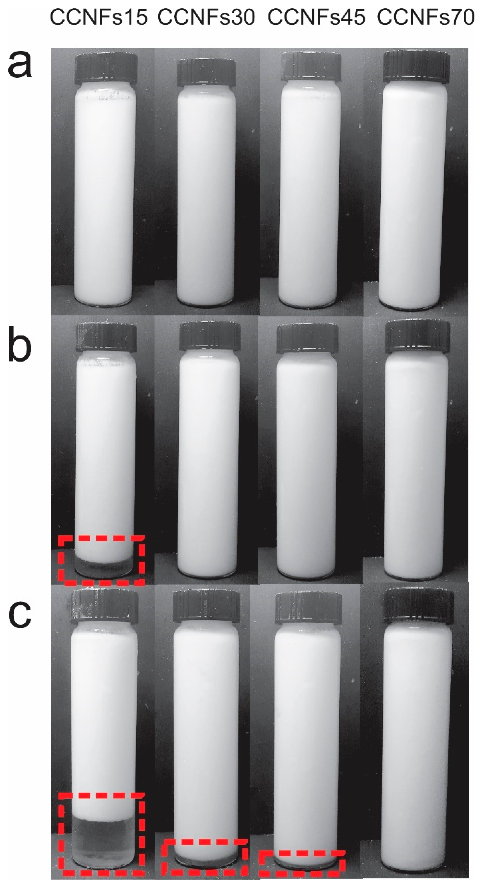Polymers 13 03625 g002