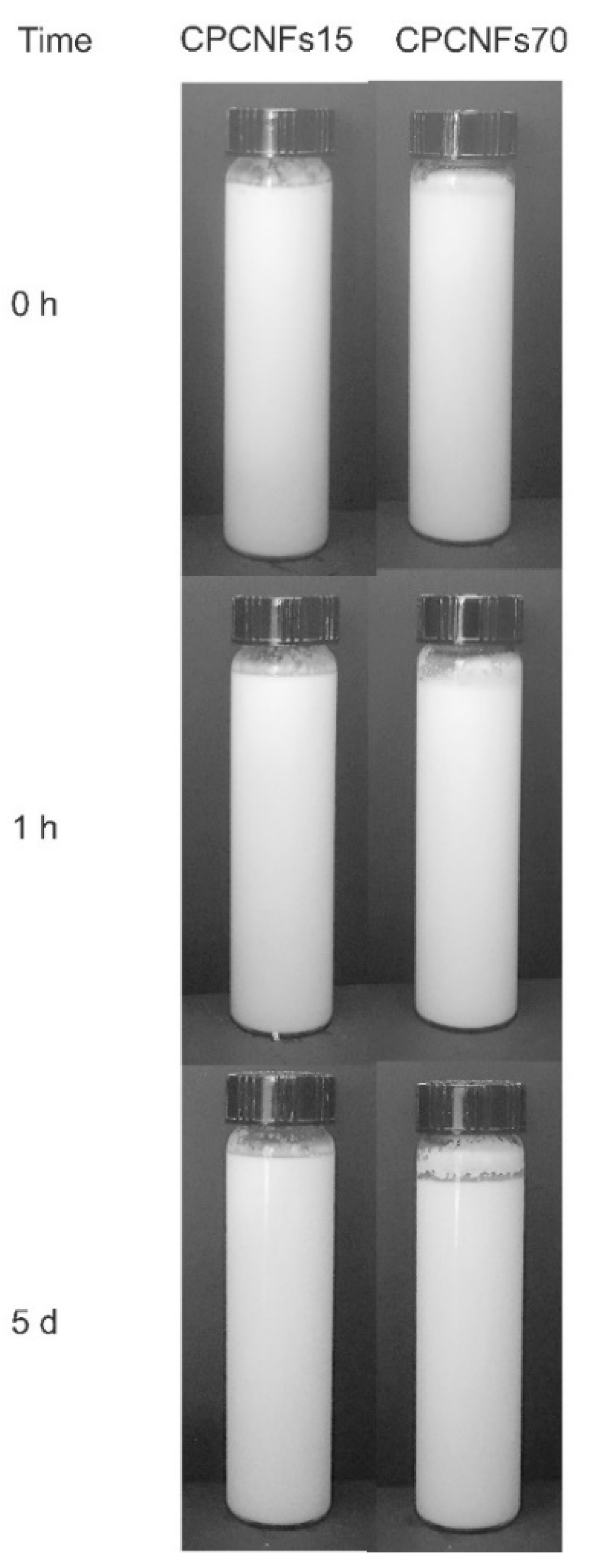 Polymers 13 03625 g004