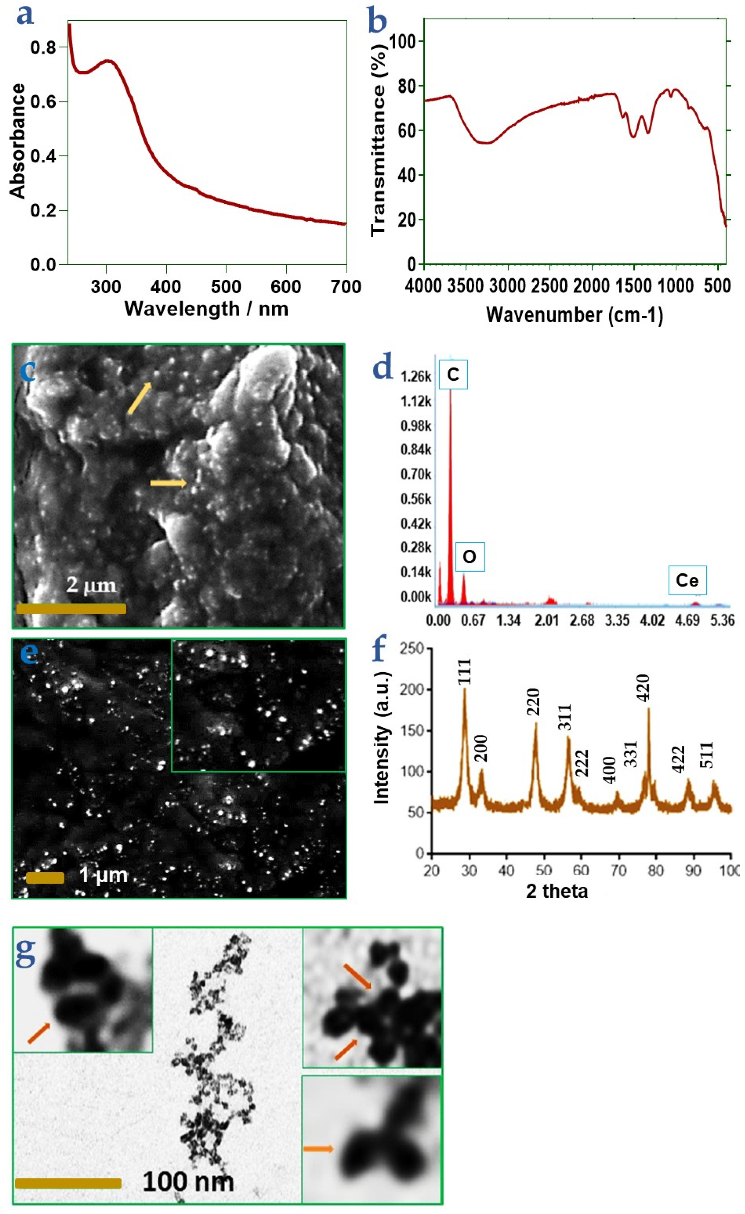 Polymers 13 03630 g001