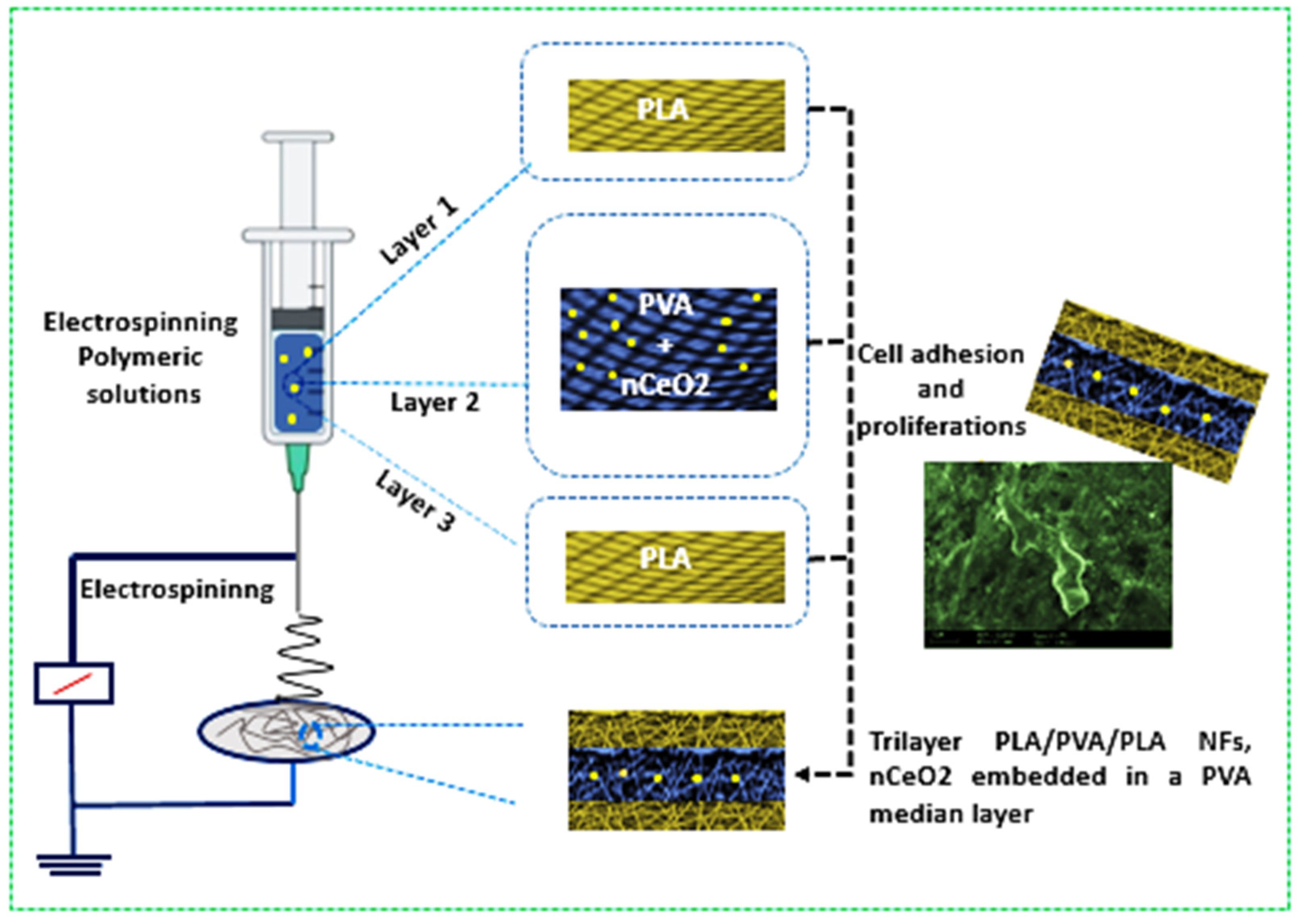 Polymers 13 03630 sch001