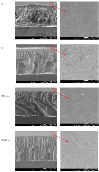 Polymers 13 03632 g002